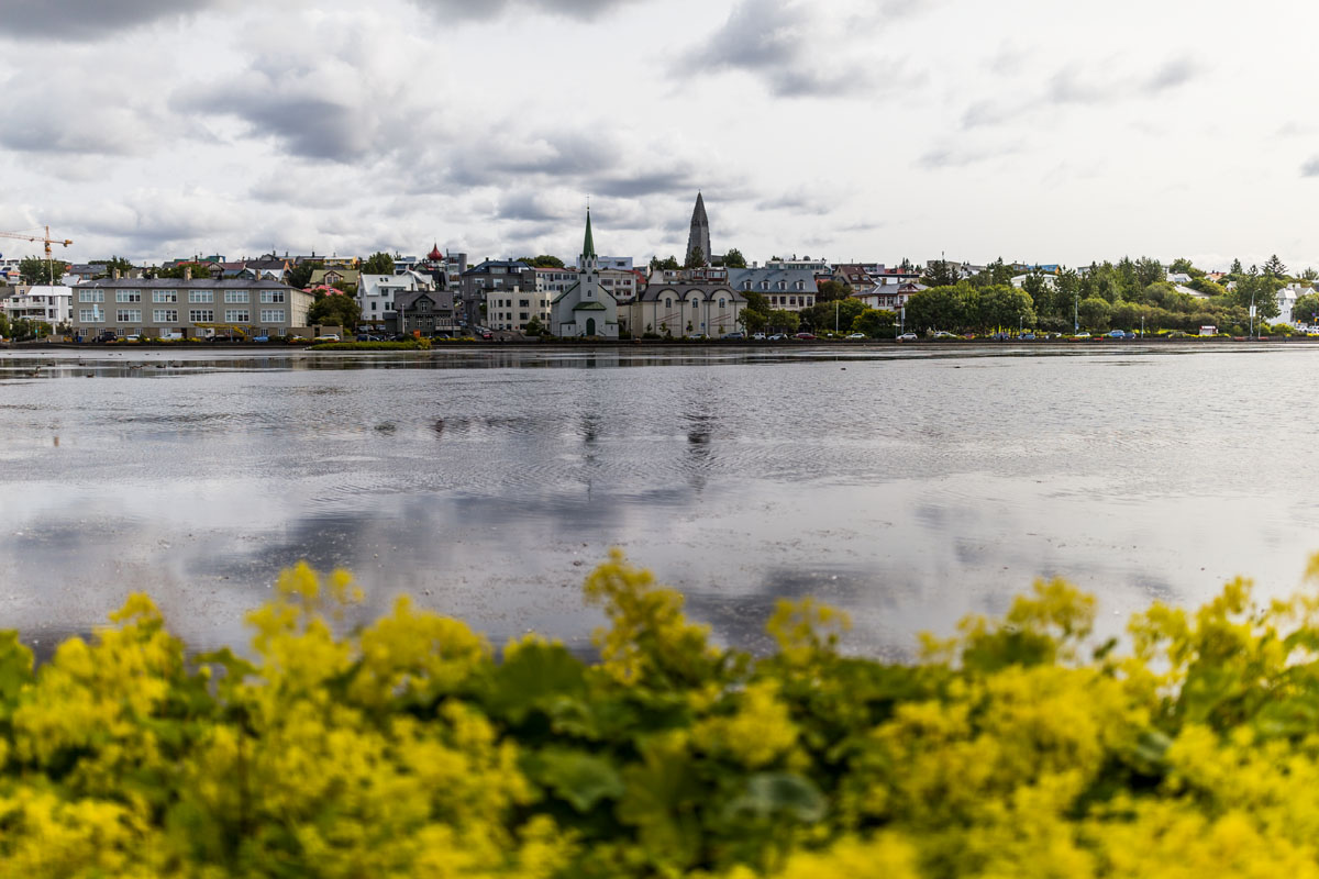 _MG_5782.jpg