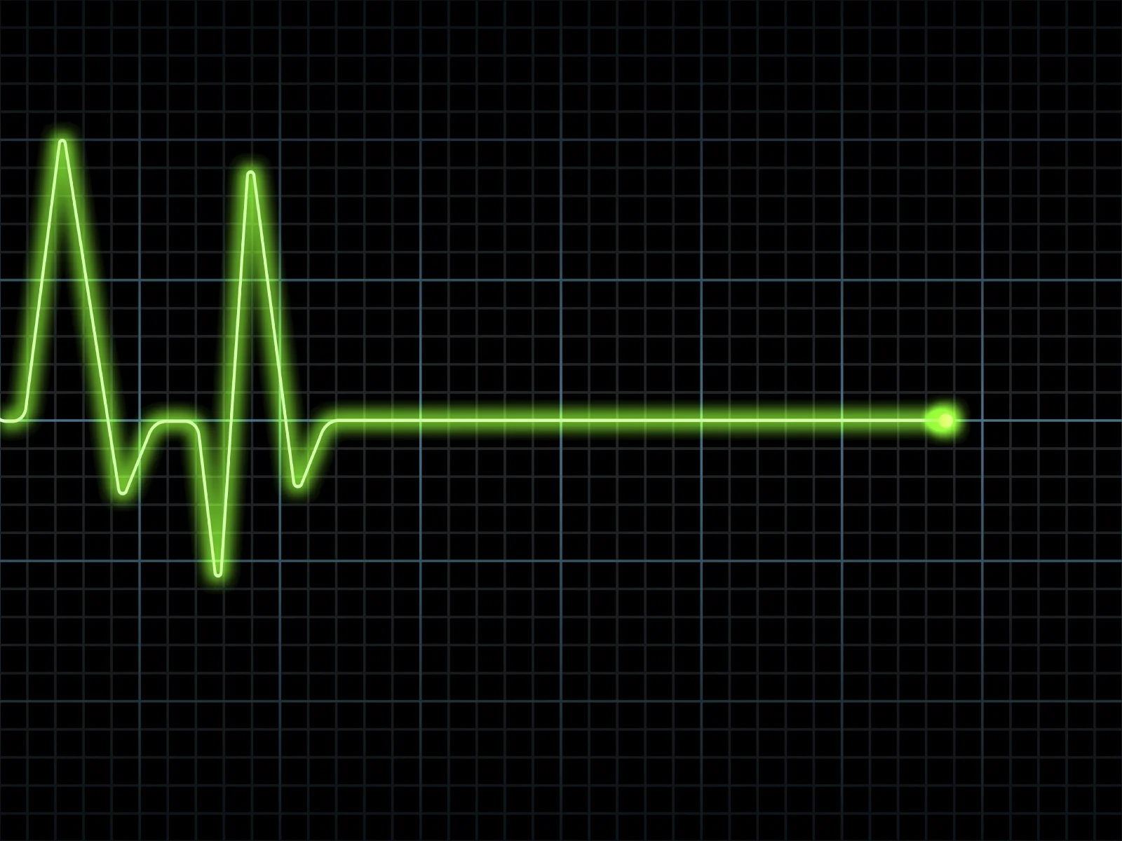 filepicker-e2tX1R9StSbzO4VF4XJY_Flatline.jpg