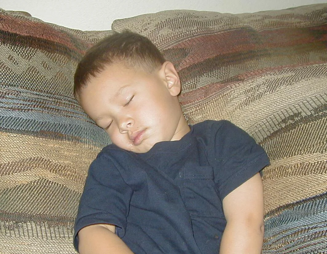 nvz02350.jpg