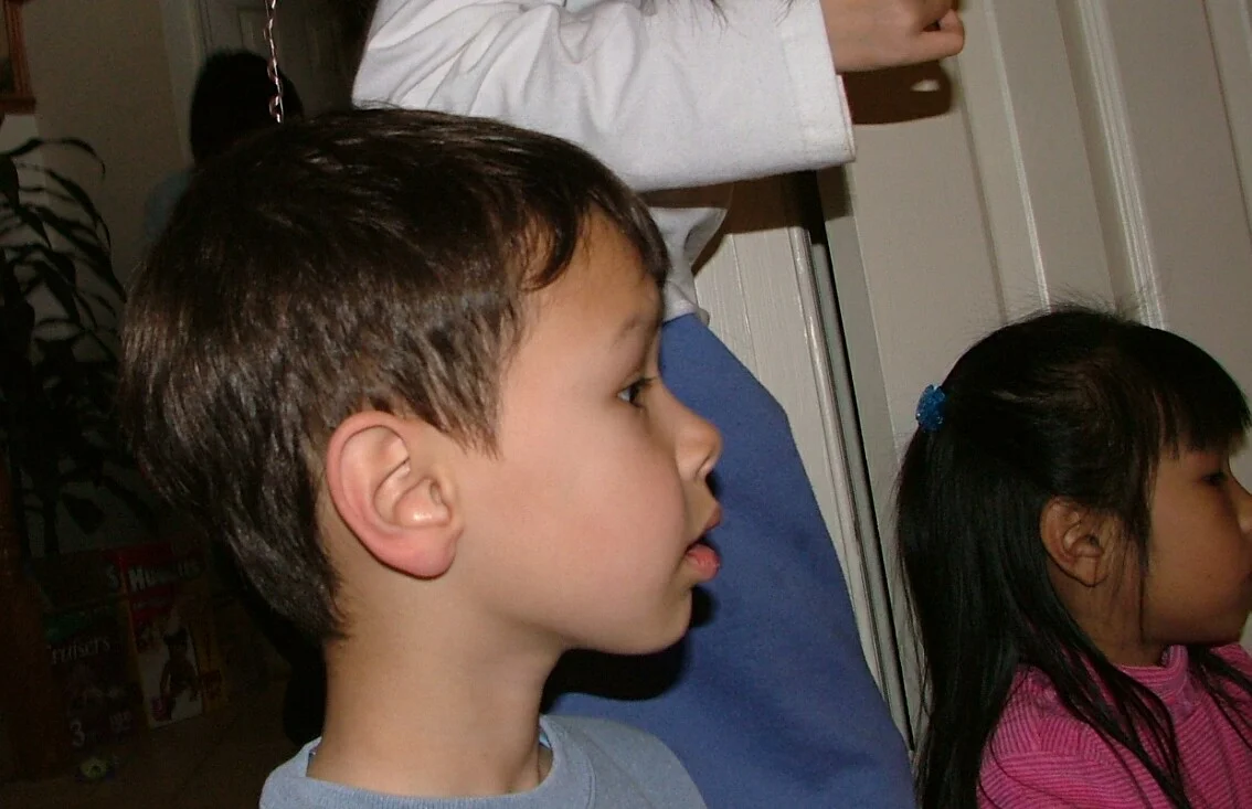 nvz03811.jpg
