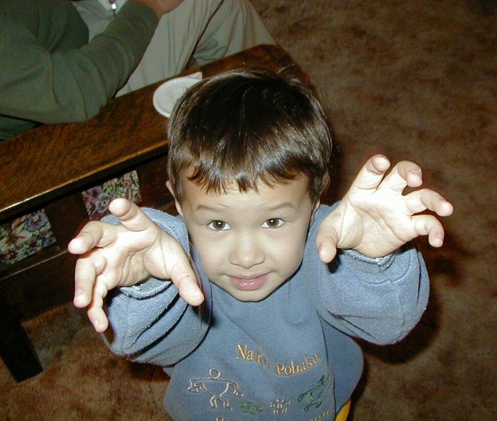 nvz02659.jpg