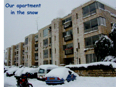 Apartment.gif