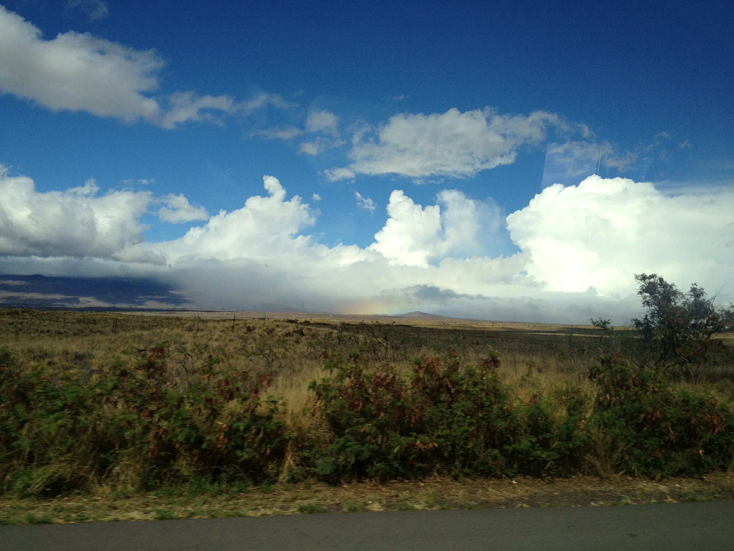hawaii11d5001.jpg
