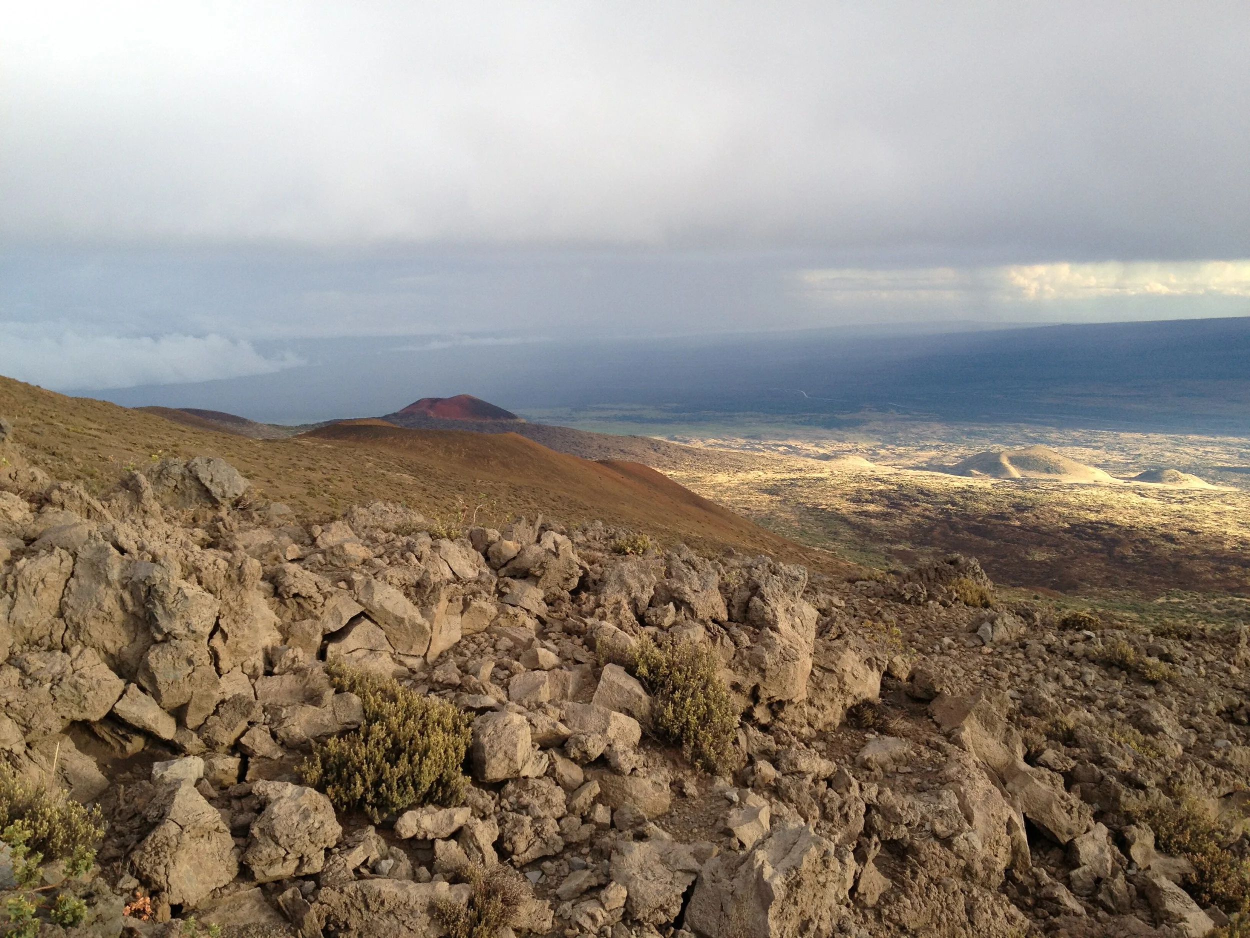 hawaii11d5005.jpg