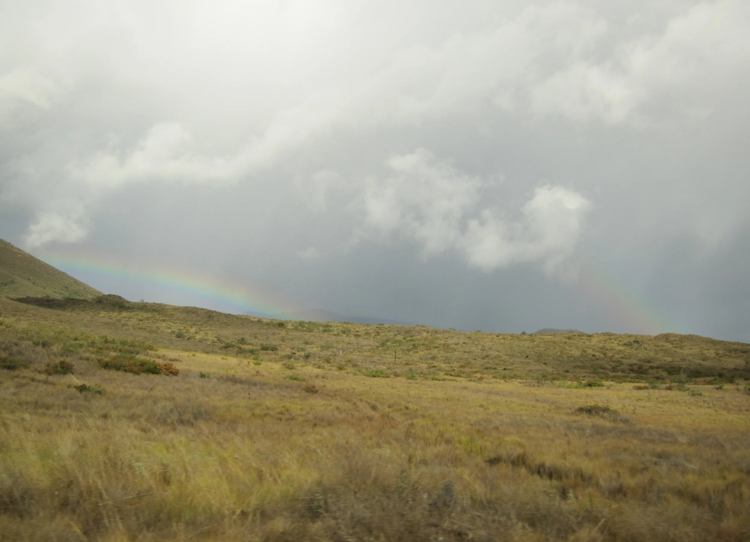 hawaii11d5017.jpg