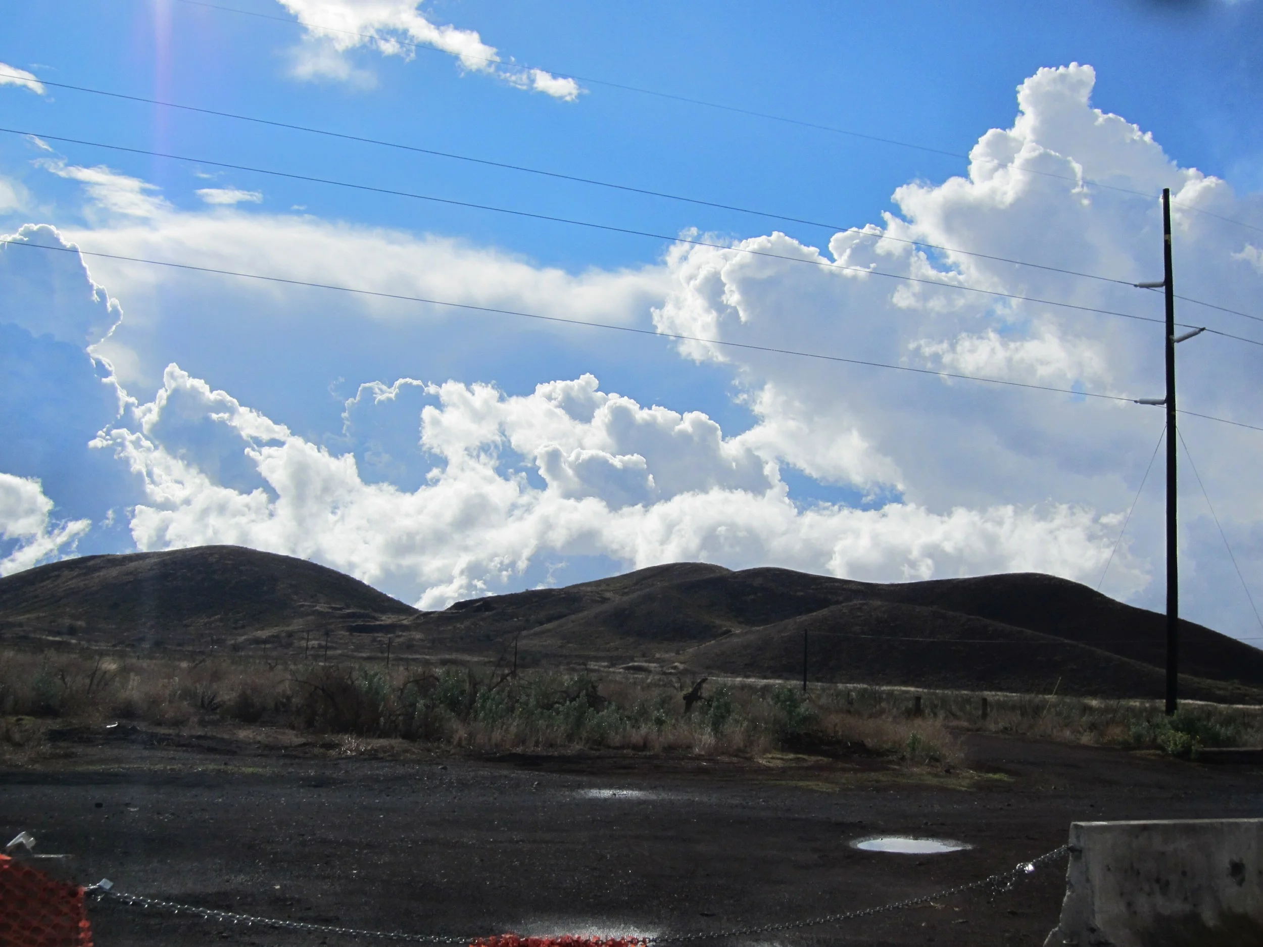 hawaii11d5020.jpg