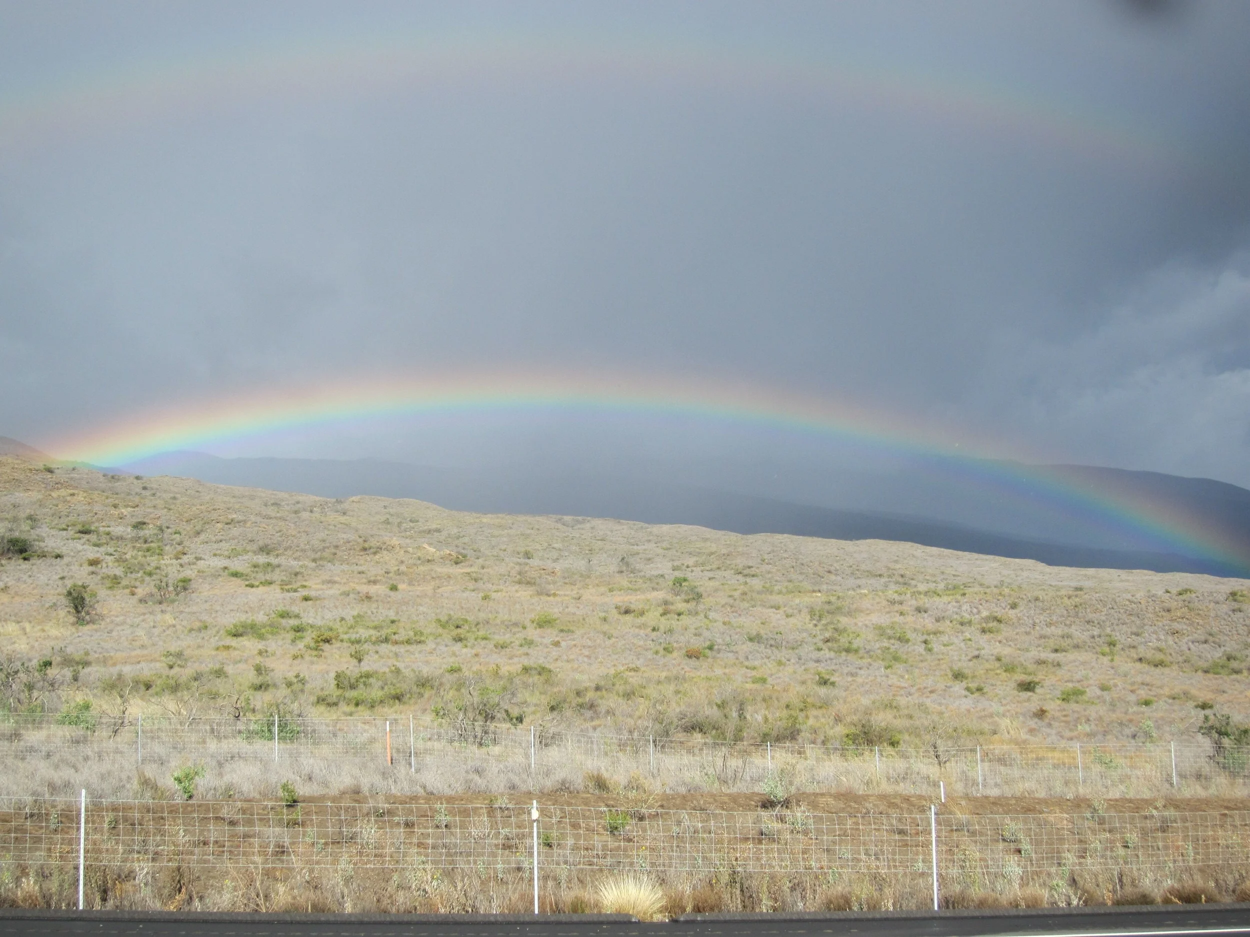 hawaii11d5024.jpg