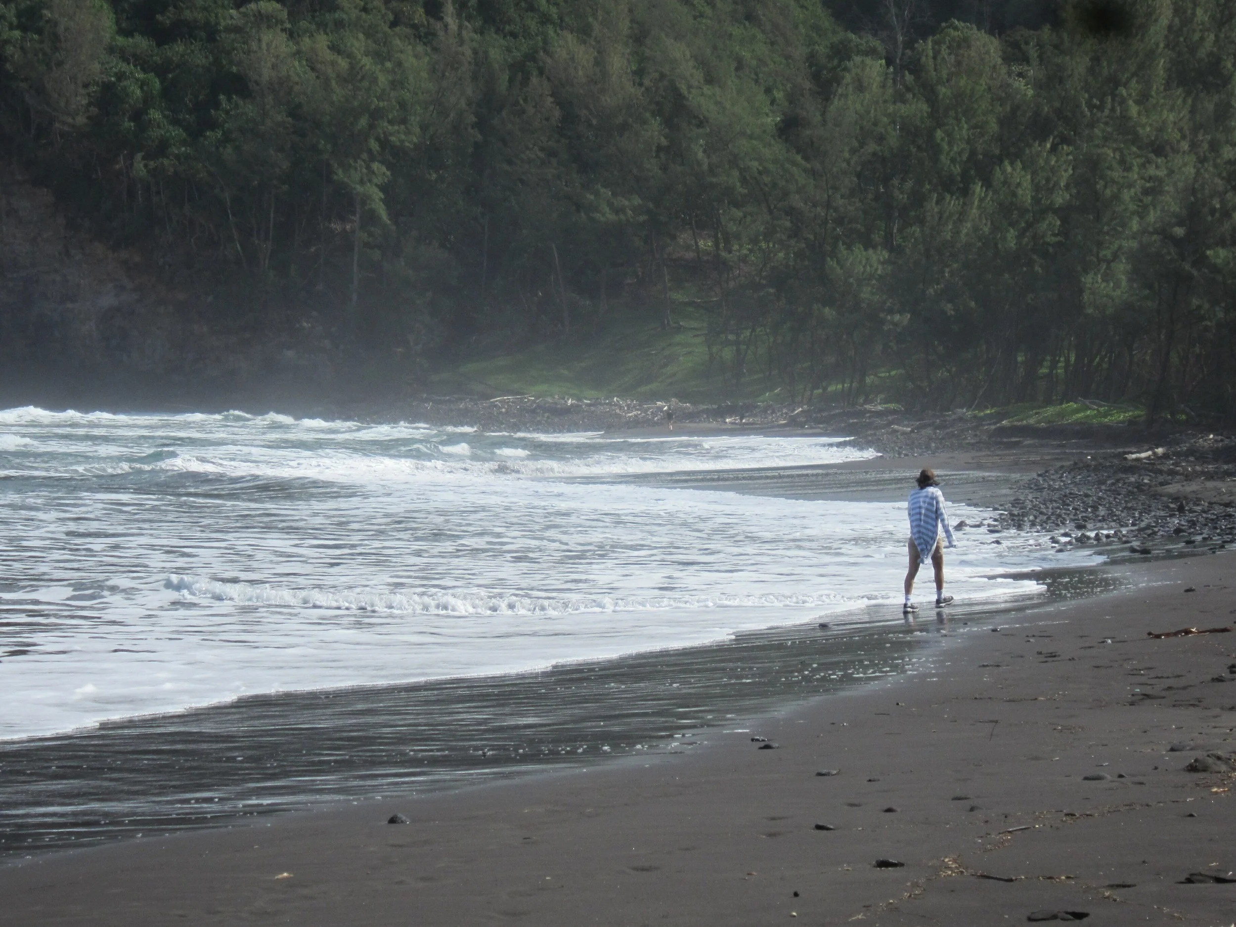 hawaii11d6028.jpg