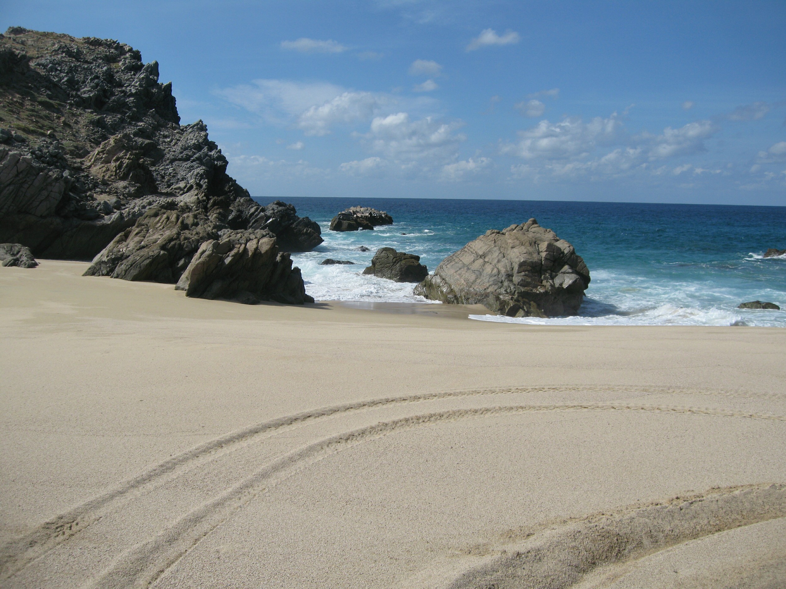 caboday600113.jpg