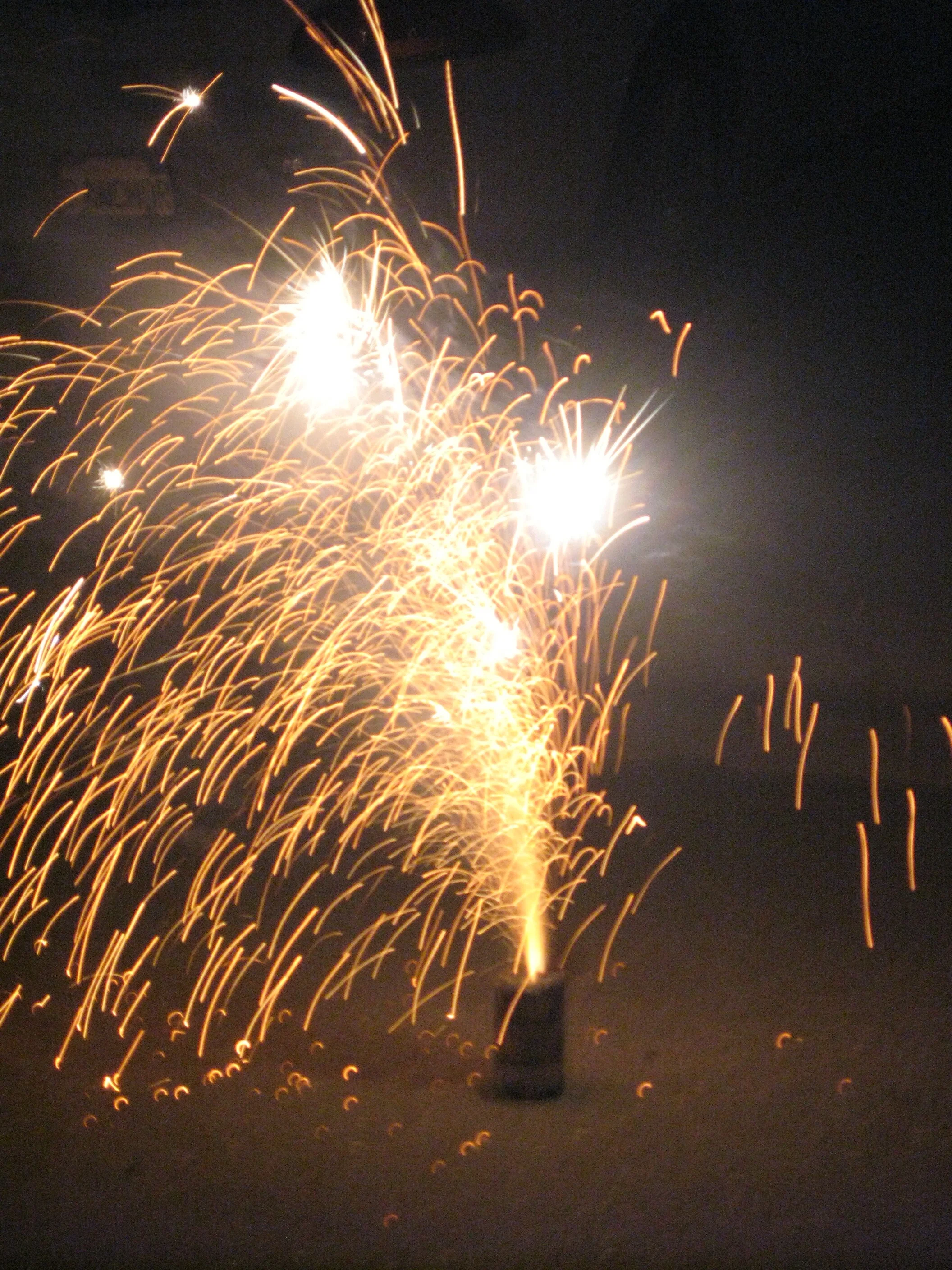 july40900015.jpg