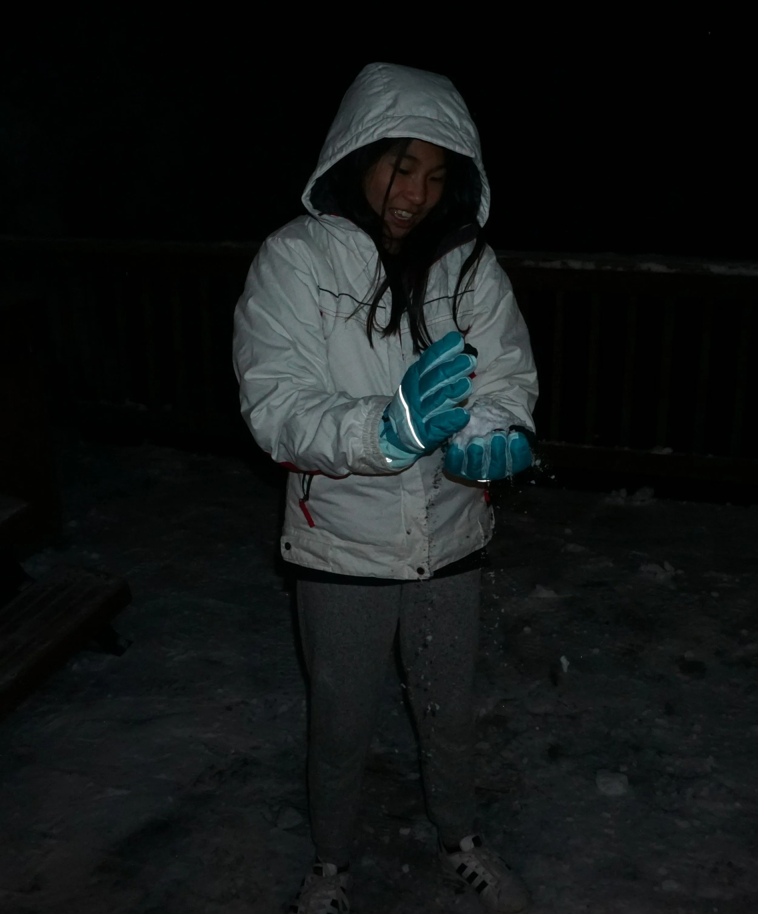 vz-20190222-205815.jpg