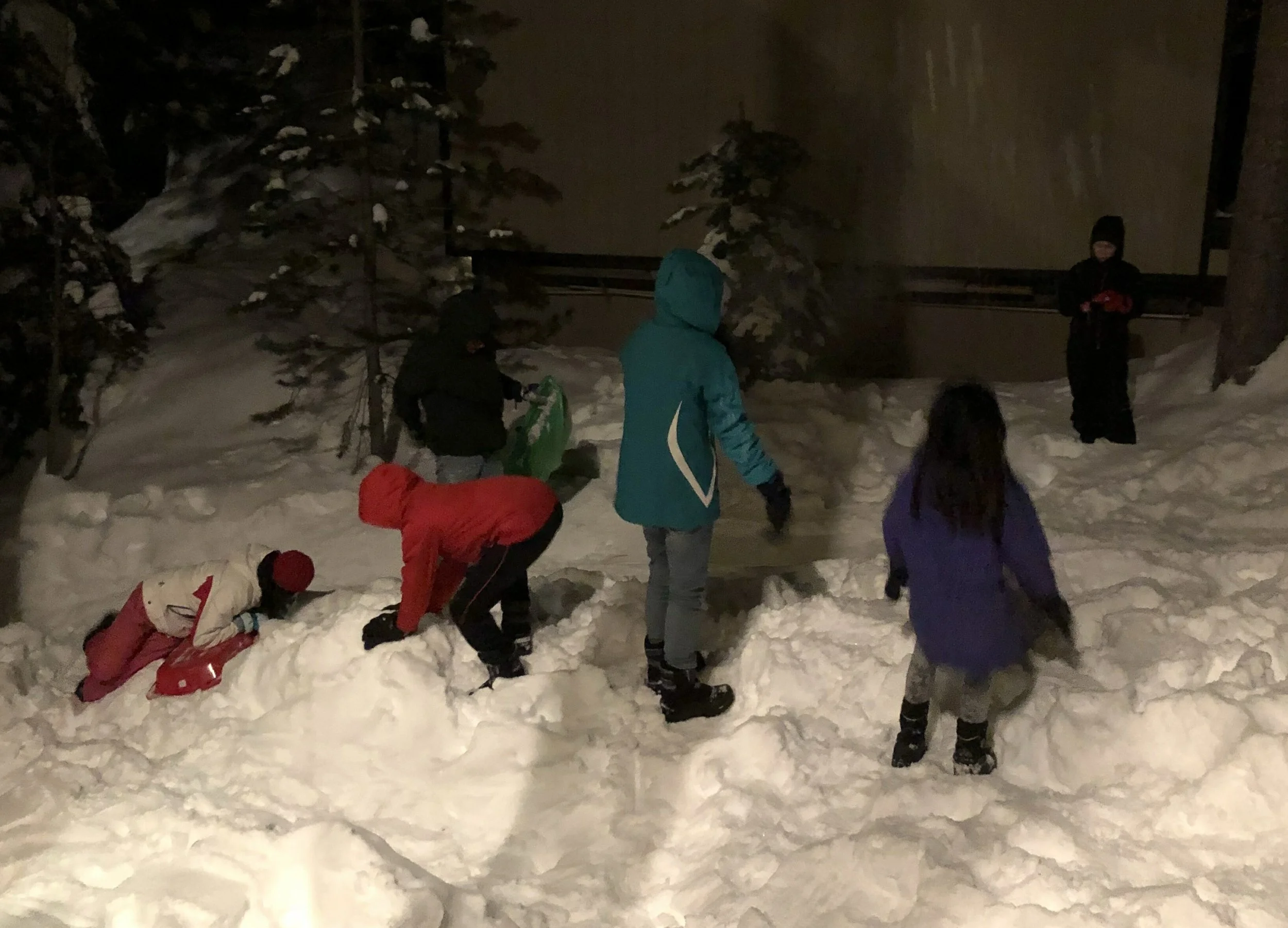 vz-20190222-210309.jpg