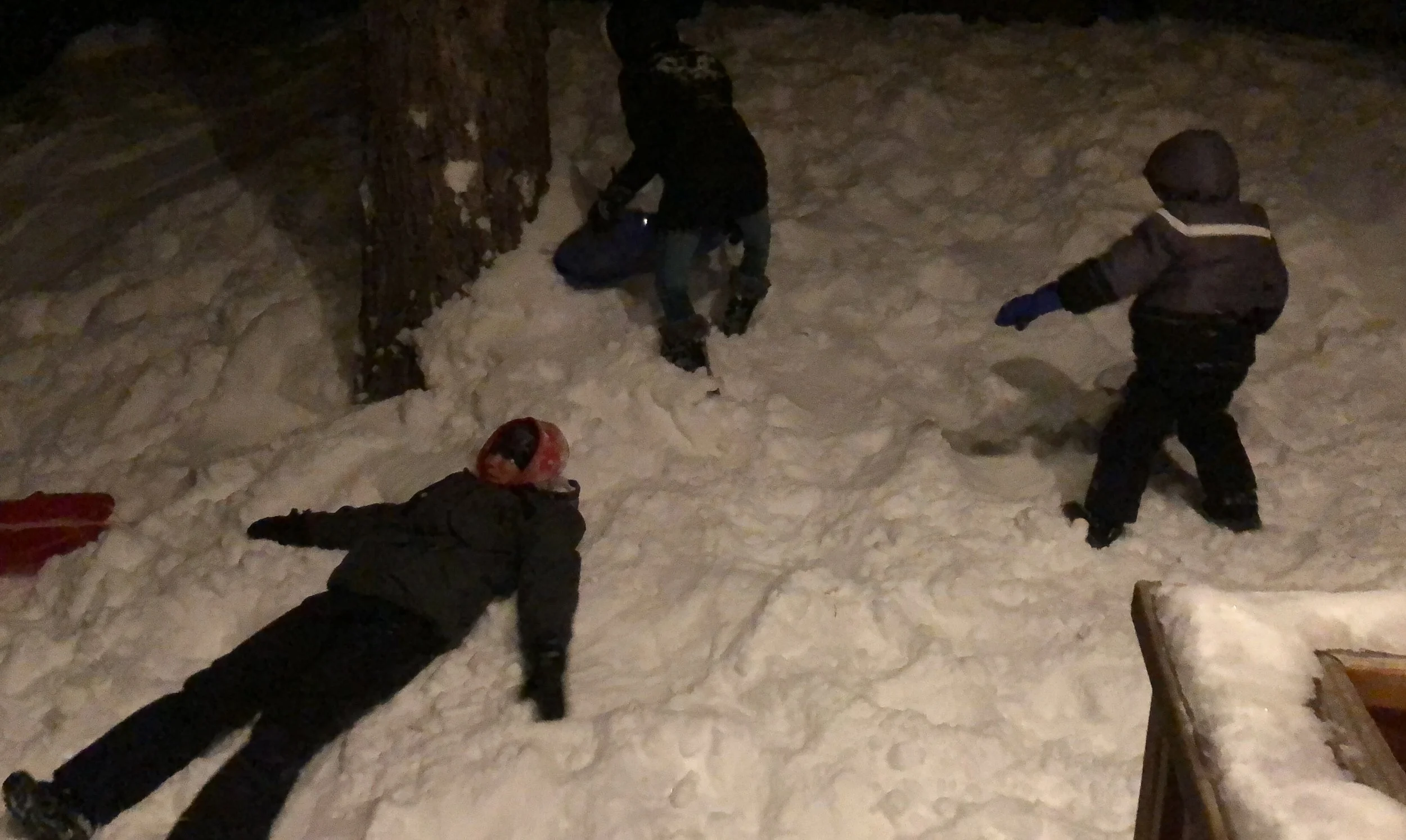 vz-20190222-211535.jpg