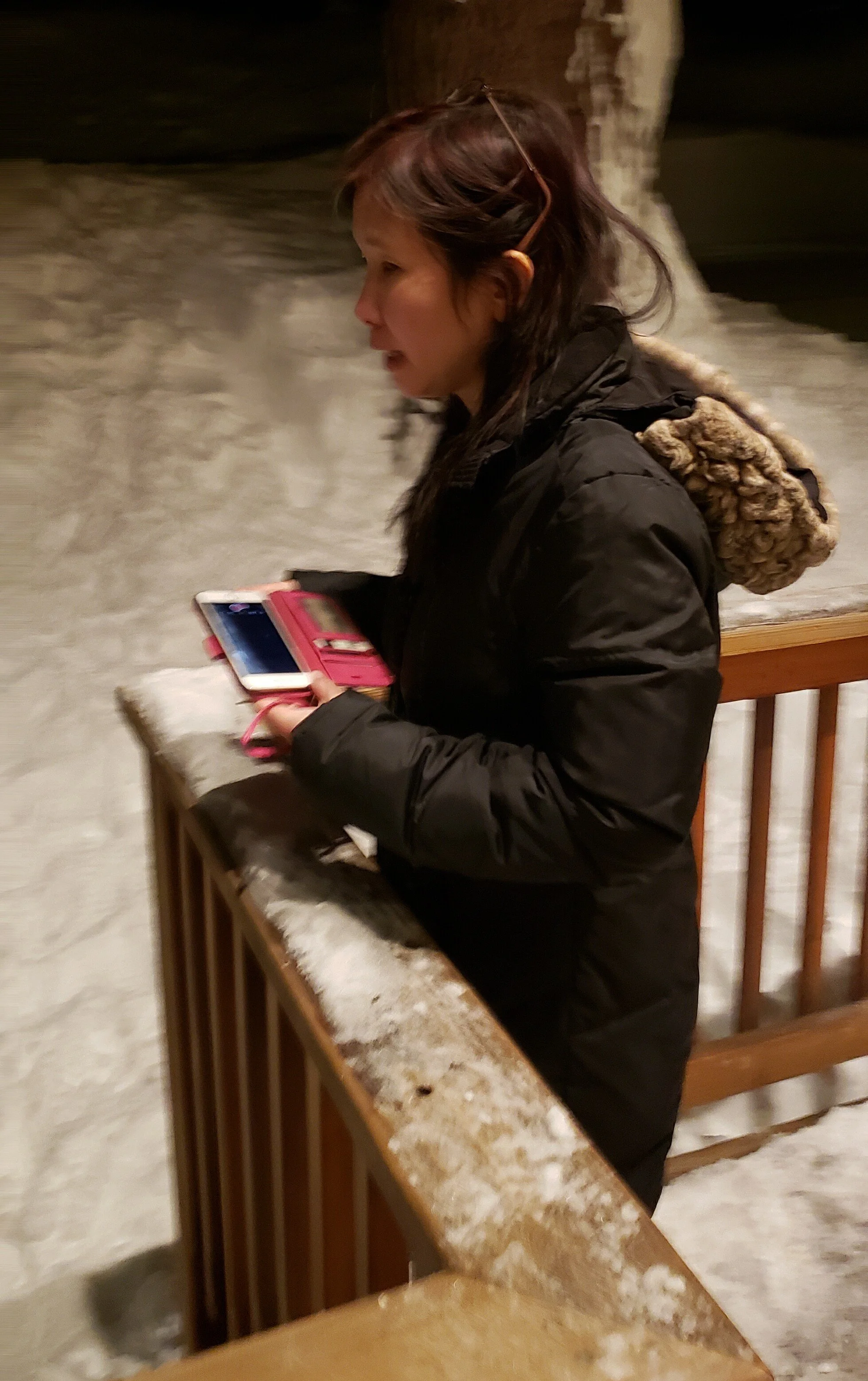 vz-20190222-212649.jpg