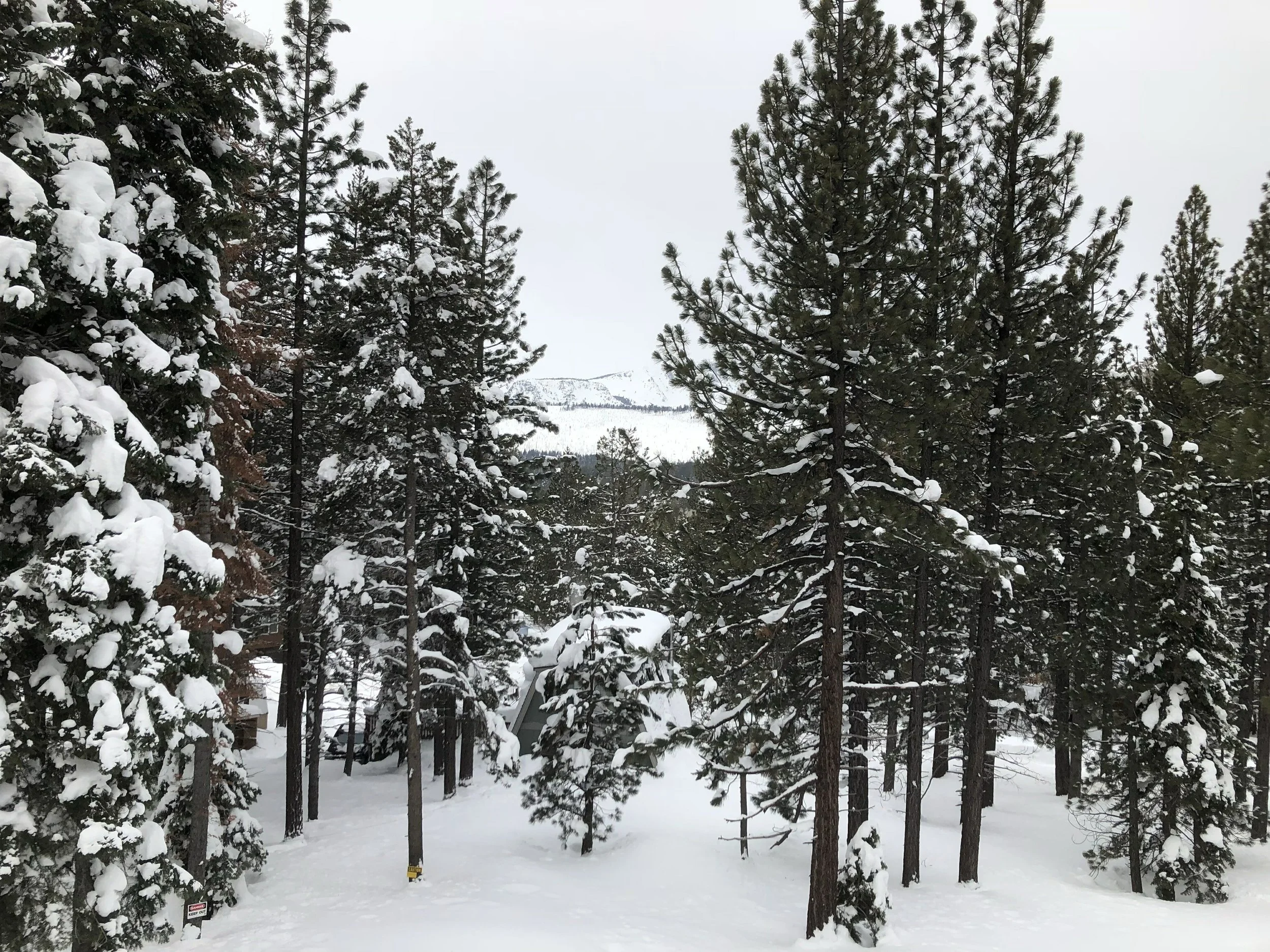 vz-20190223-085654.jpg
