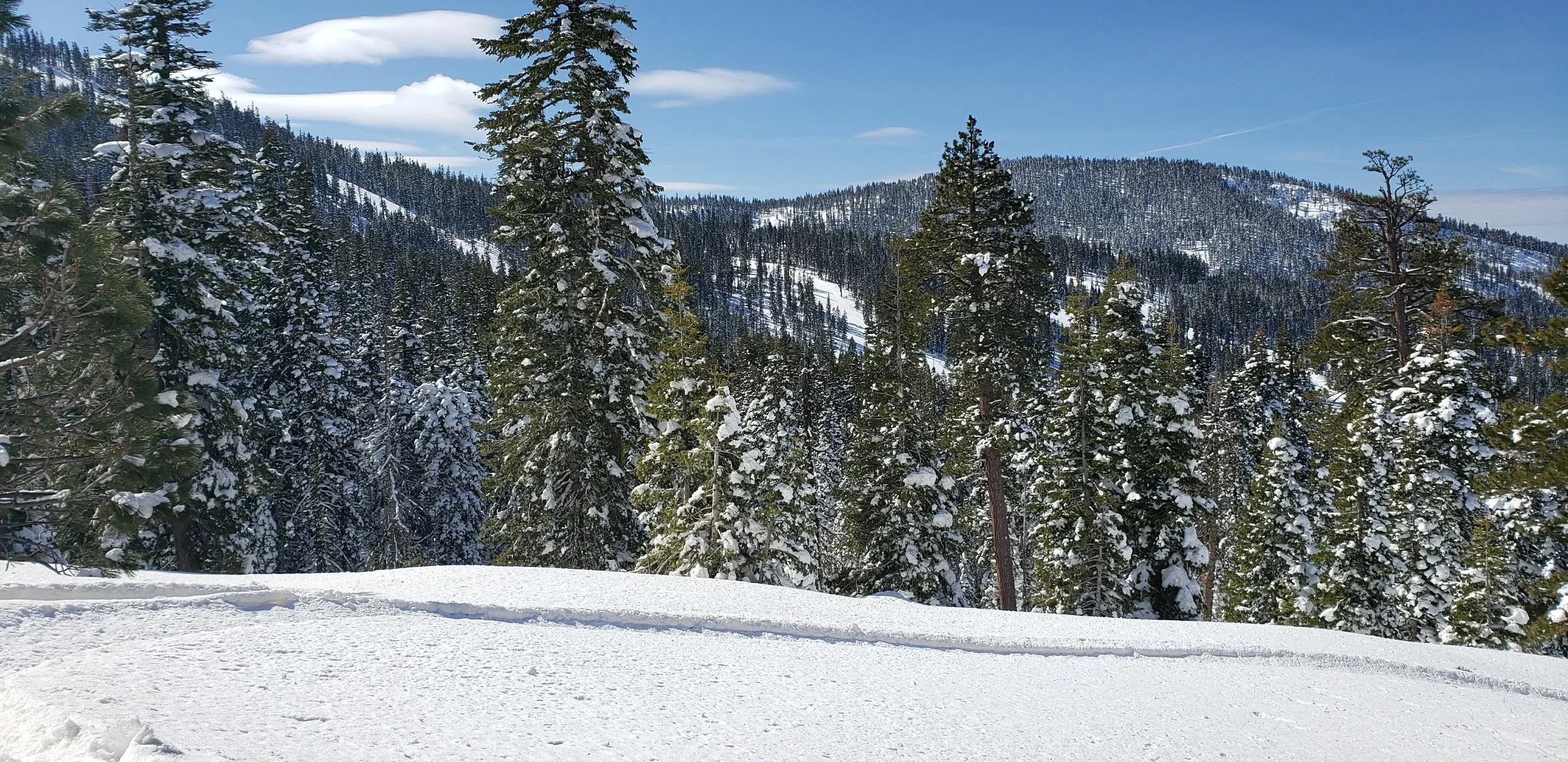 vz-20190223-111736.jpg