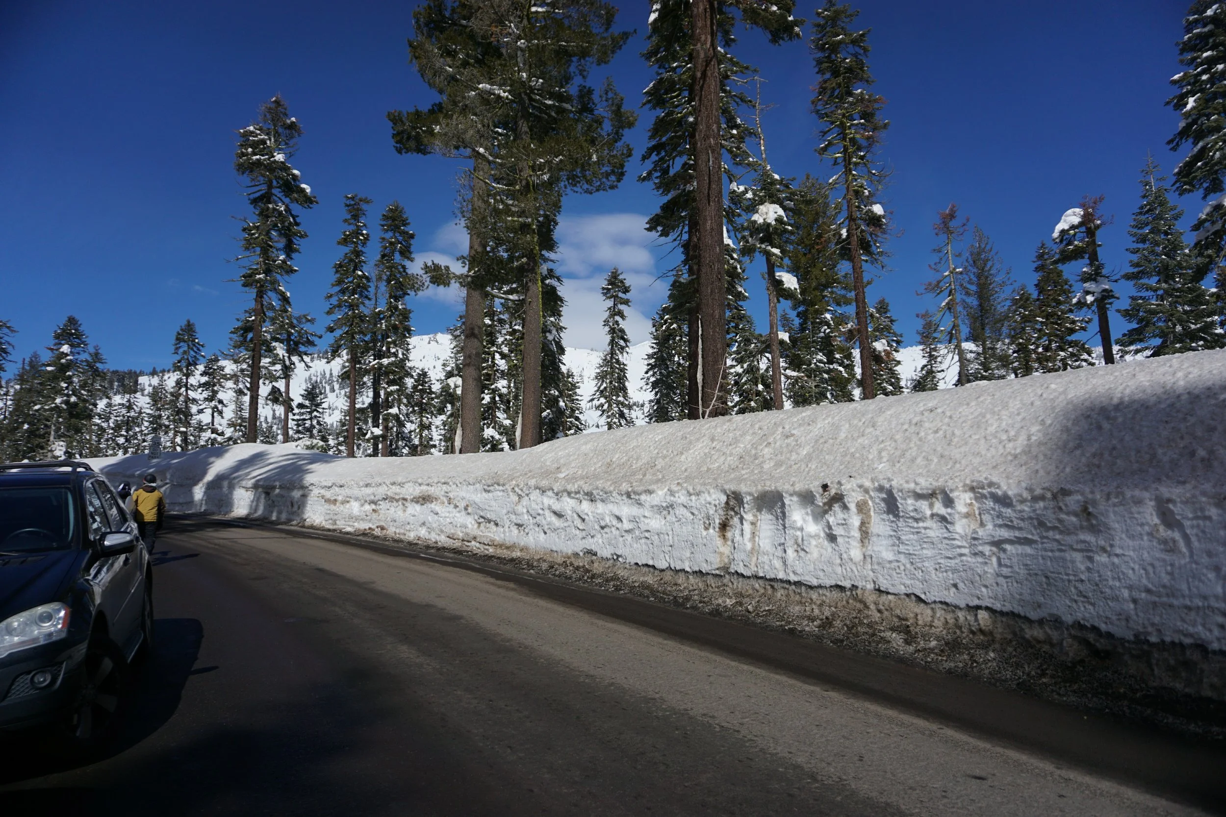 vz-20190223-112220.jpg