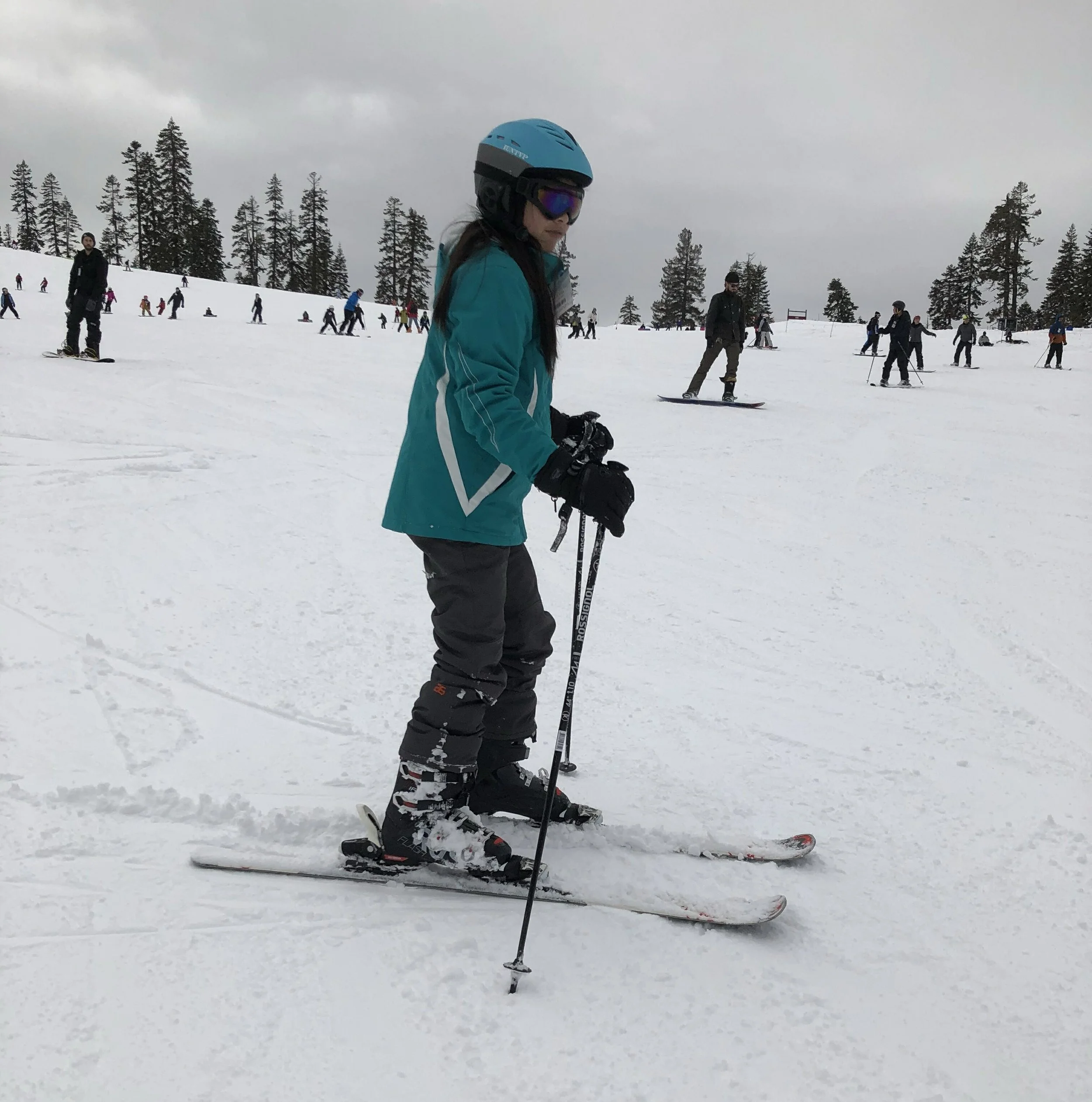 vz-20190223-131257.jpg