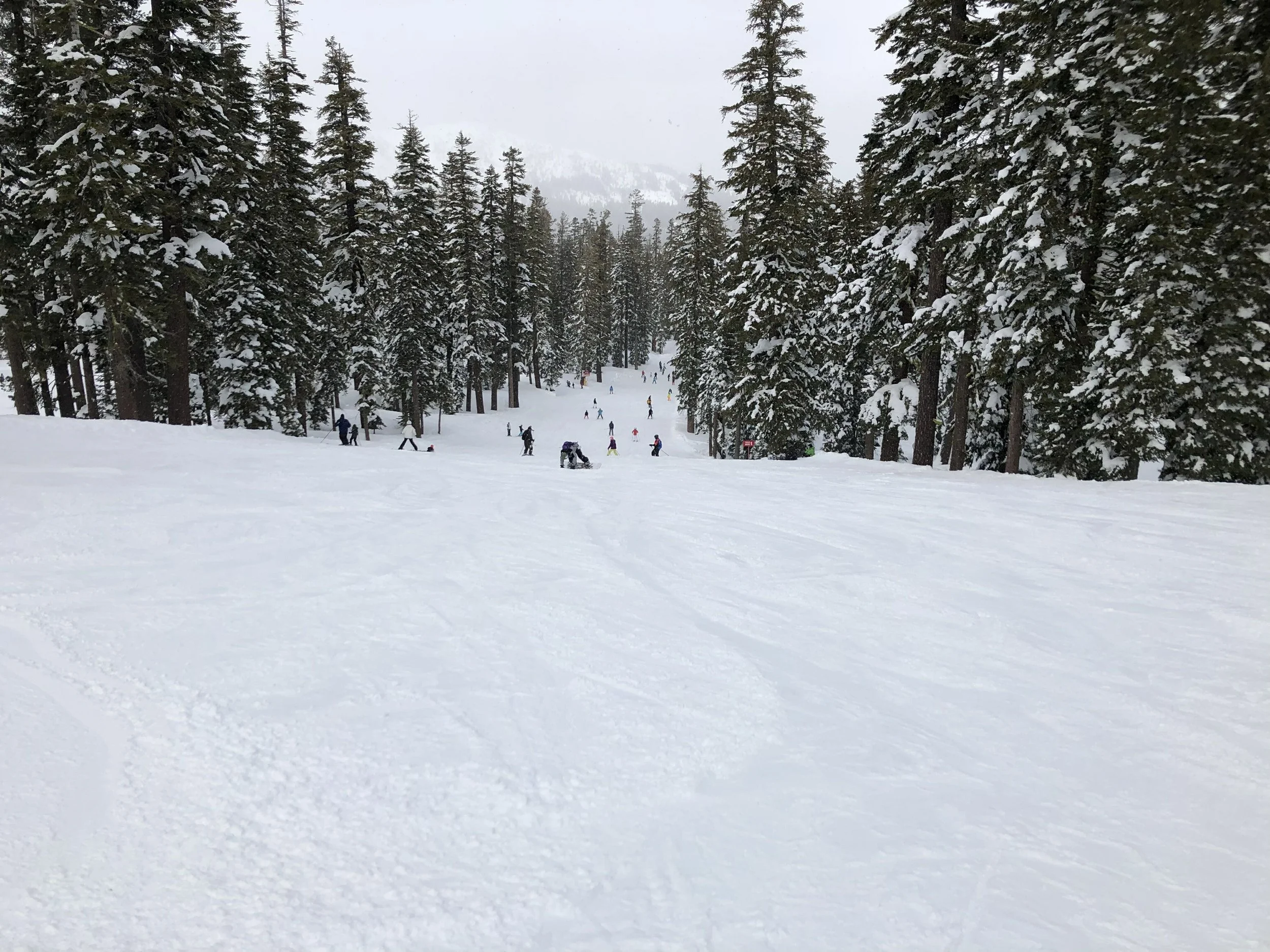 vz-20190223-142828.jpg