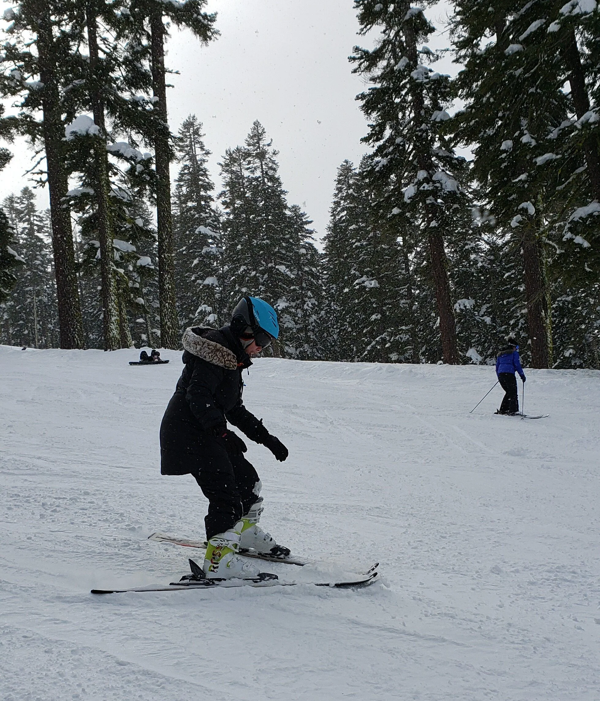 vz-20190223-143337.jpg