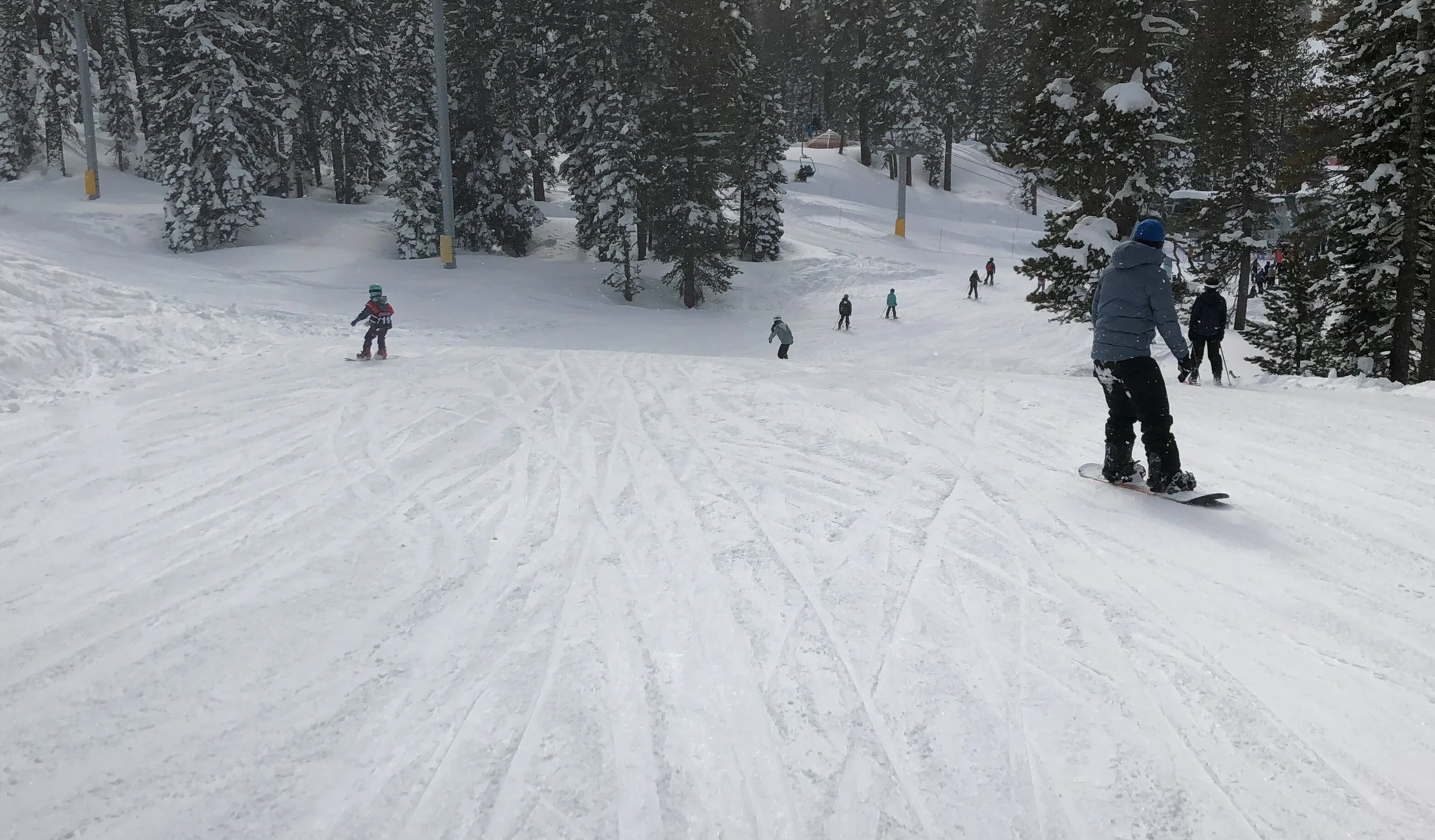 vz-20190223-144403.jpg
