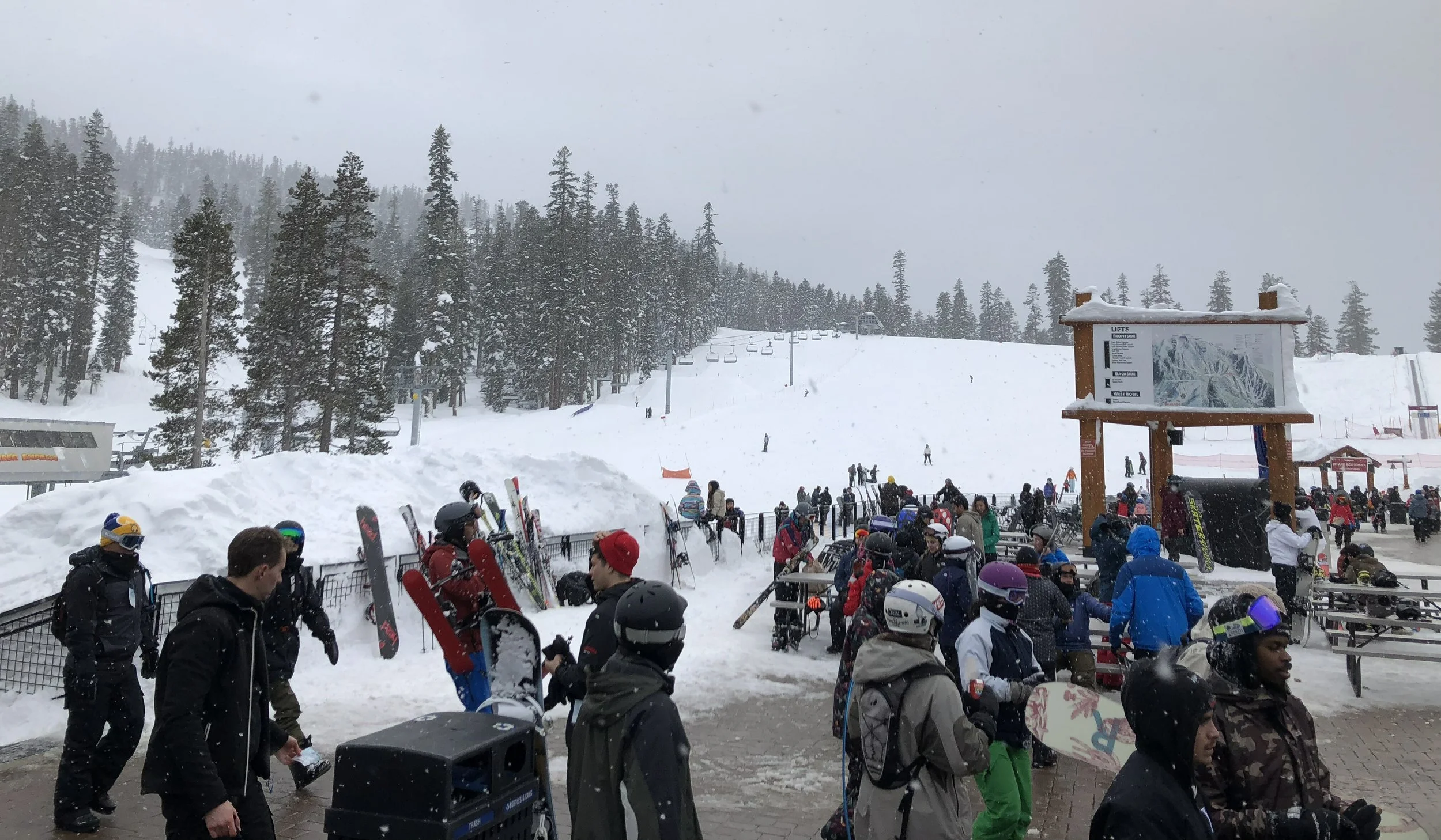 vz-20190223-161837.jpg