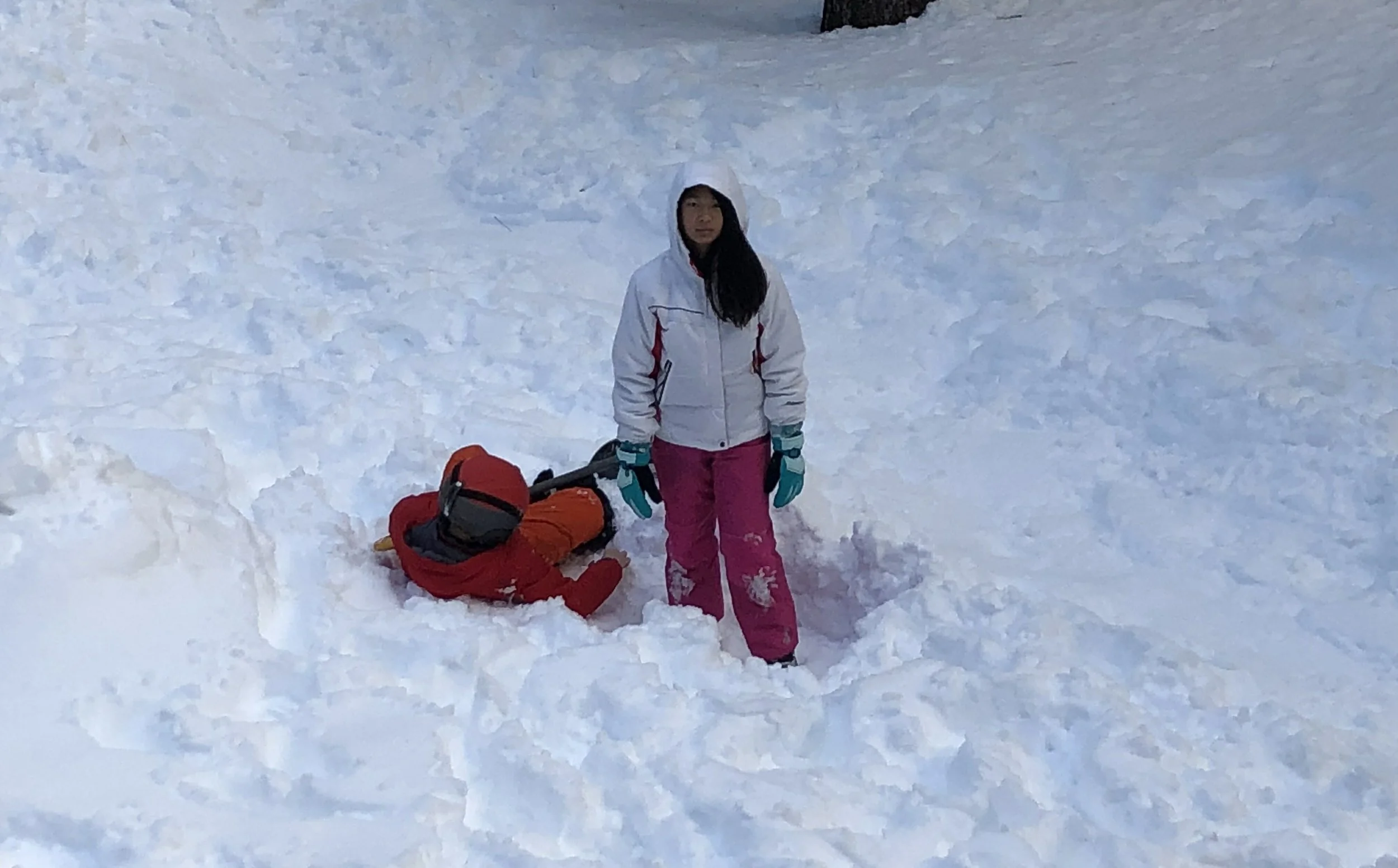 vz-20190224-072059.jpg