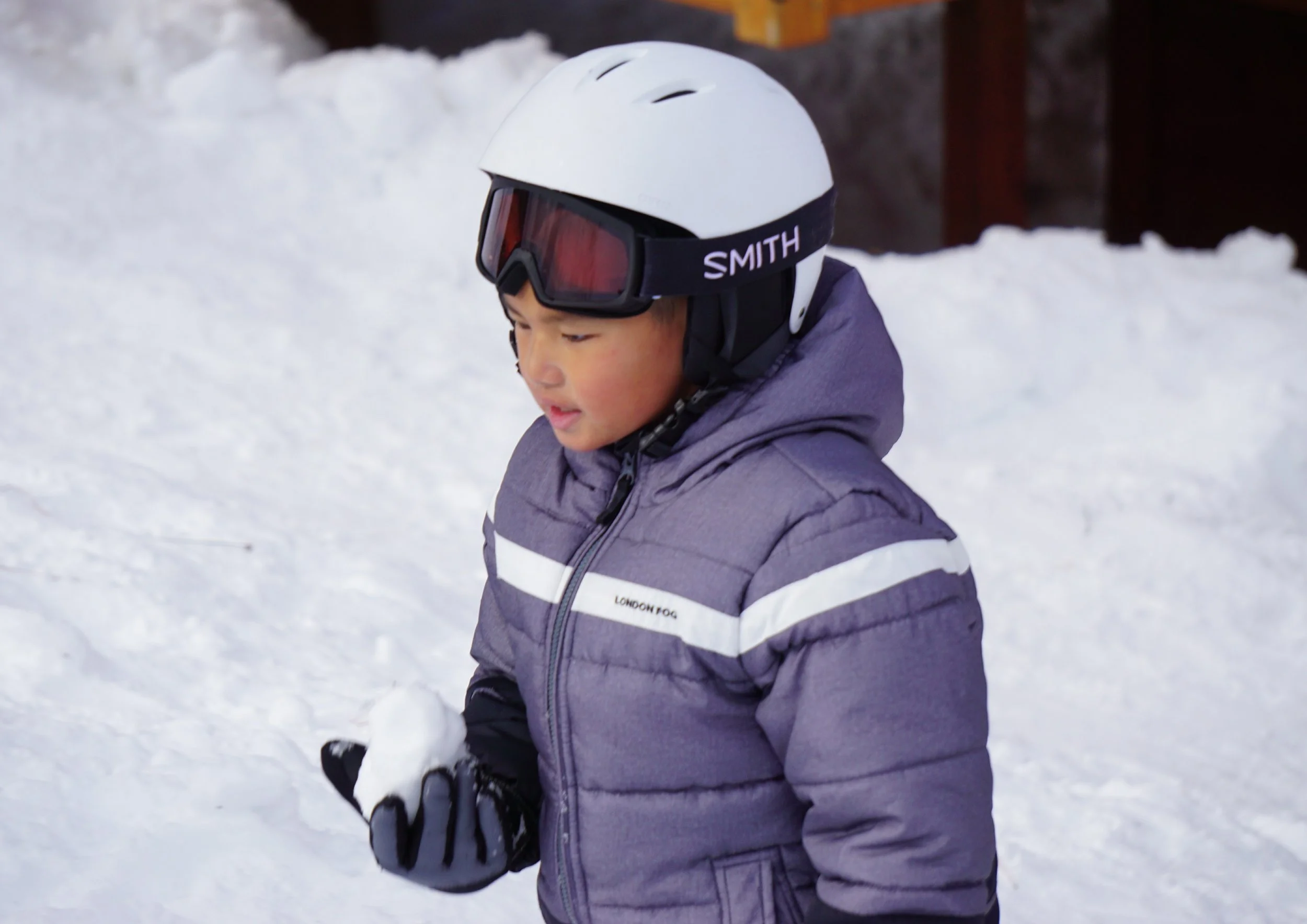 vz-20190224-092227.jpg