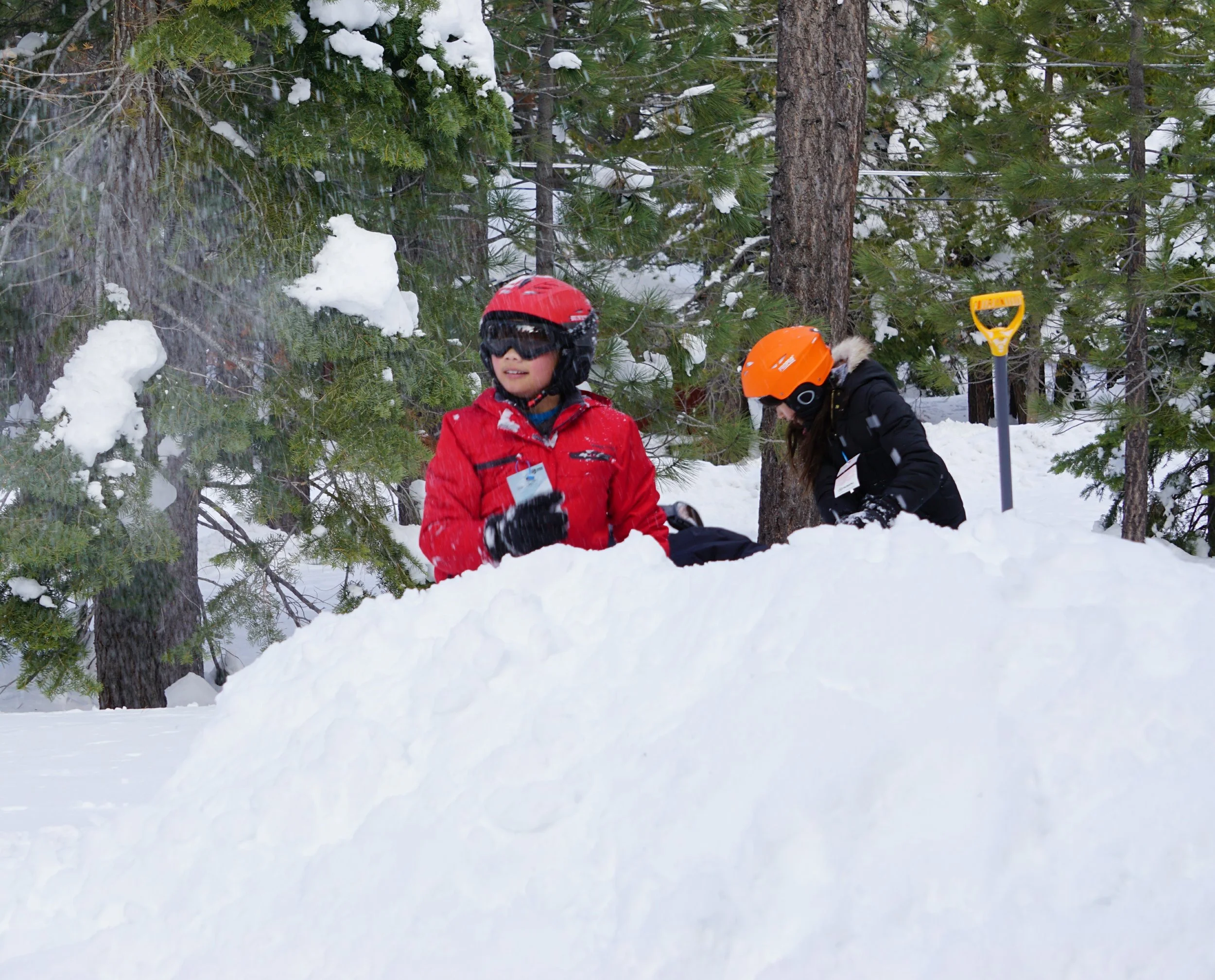 vz-20190224-092750.jpg