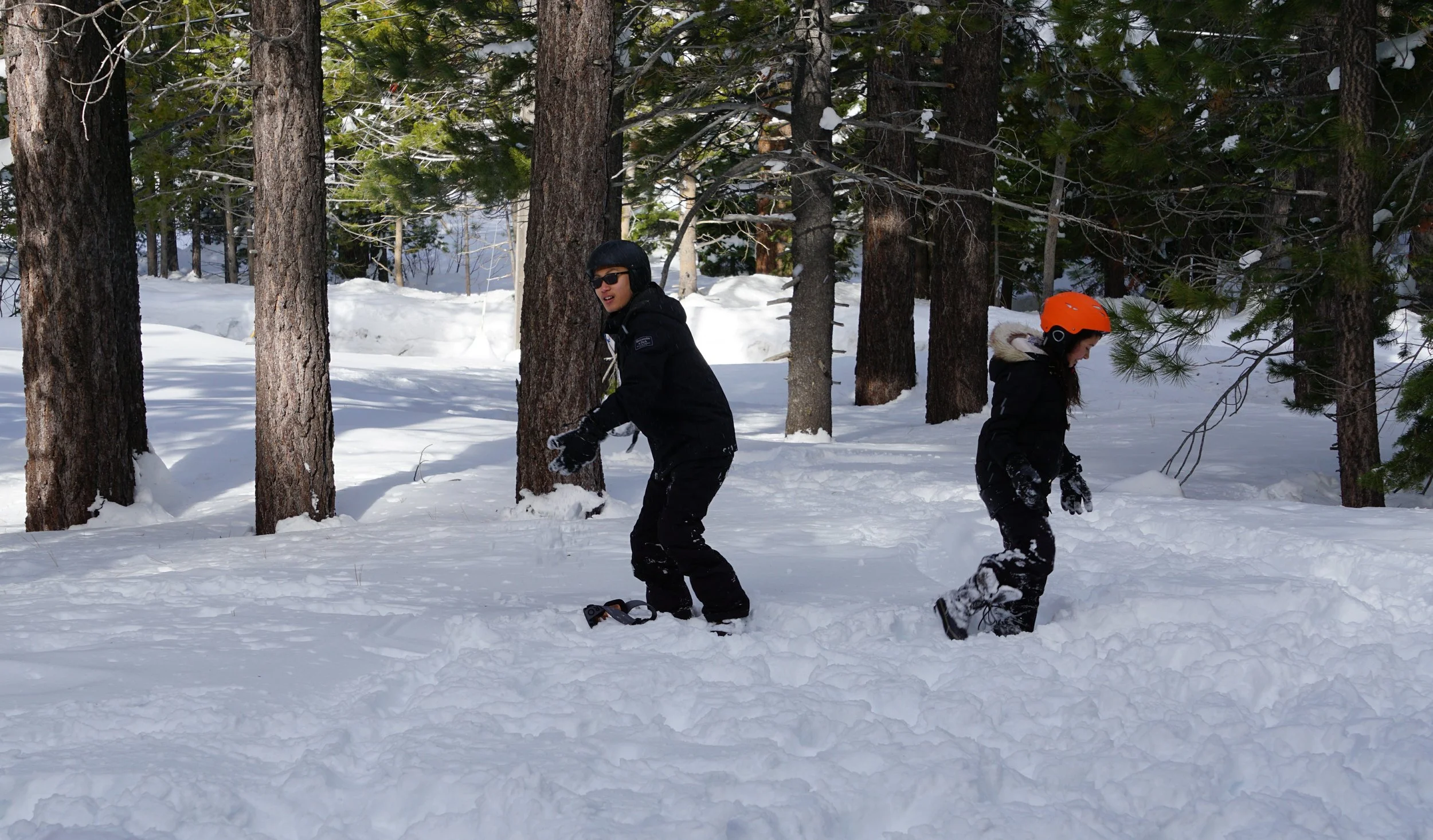vz-20190224-093123.jpg