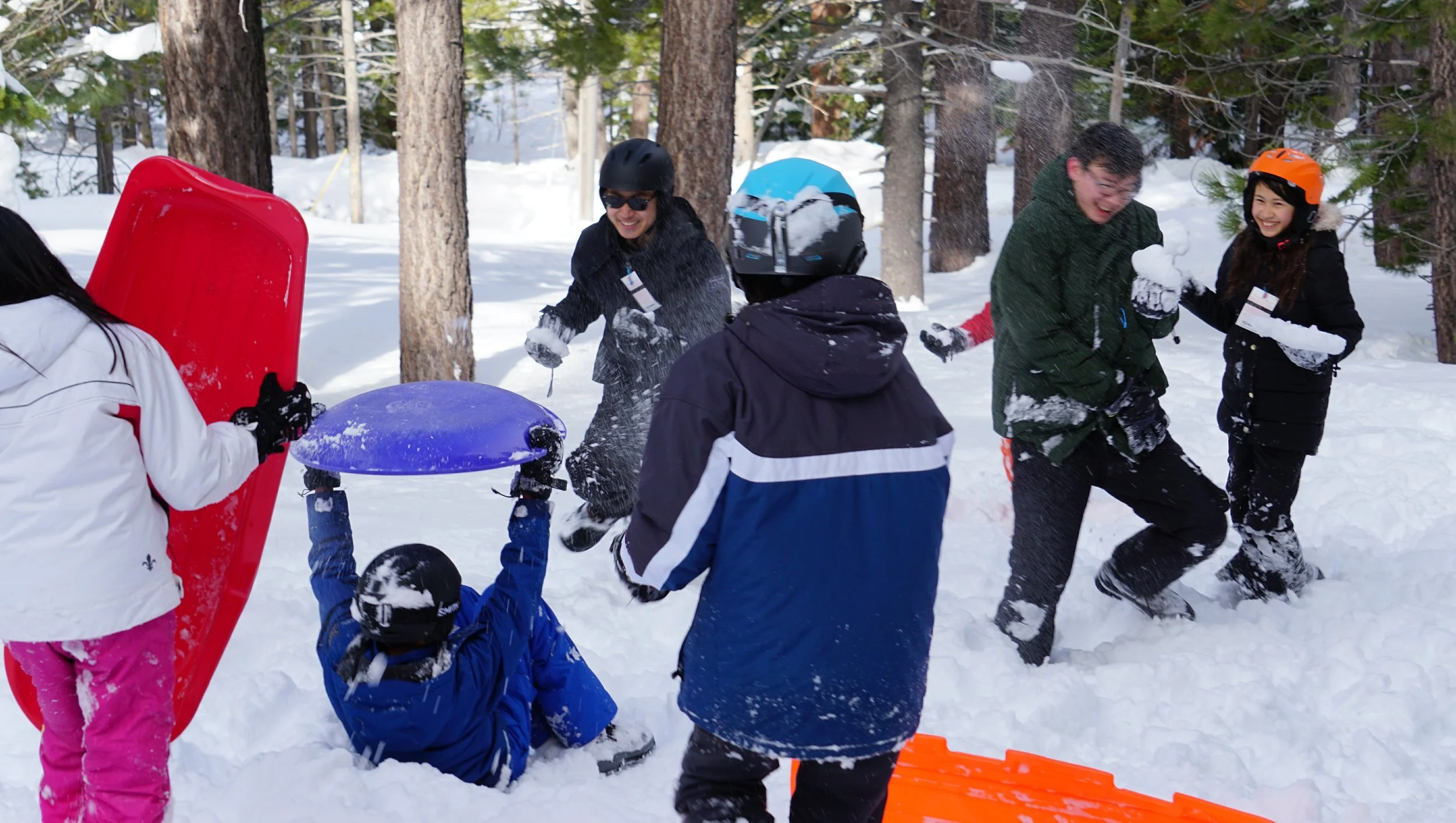 vz-20190224-093241.jpg