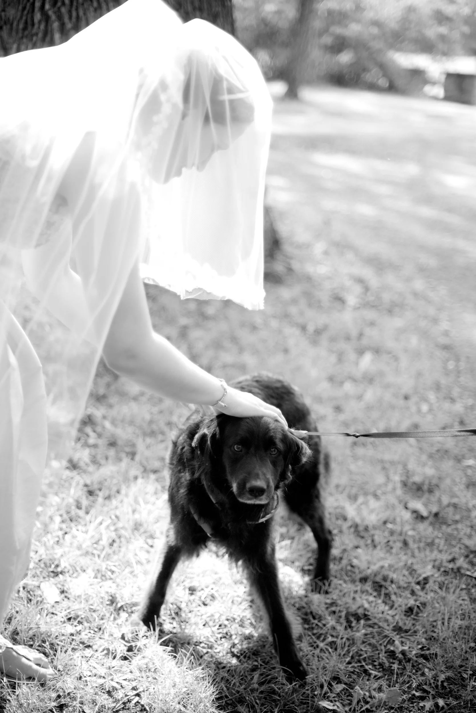 pospichelwedding54.jpg