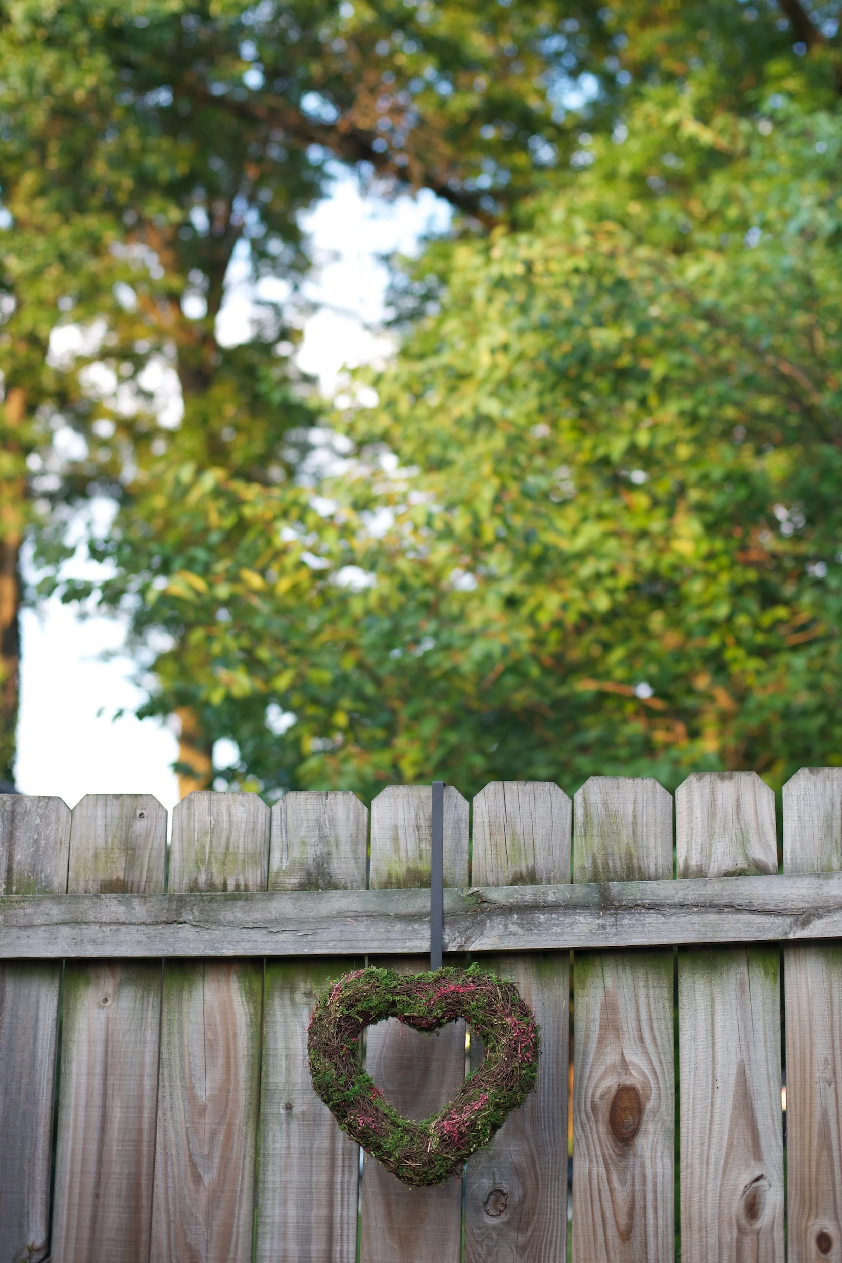 radabaughwedding24.jpg
