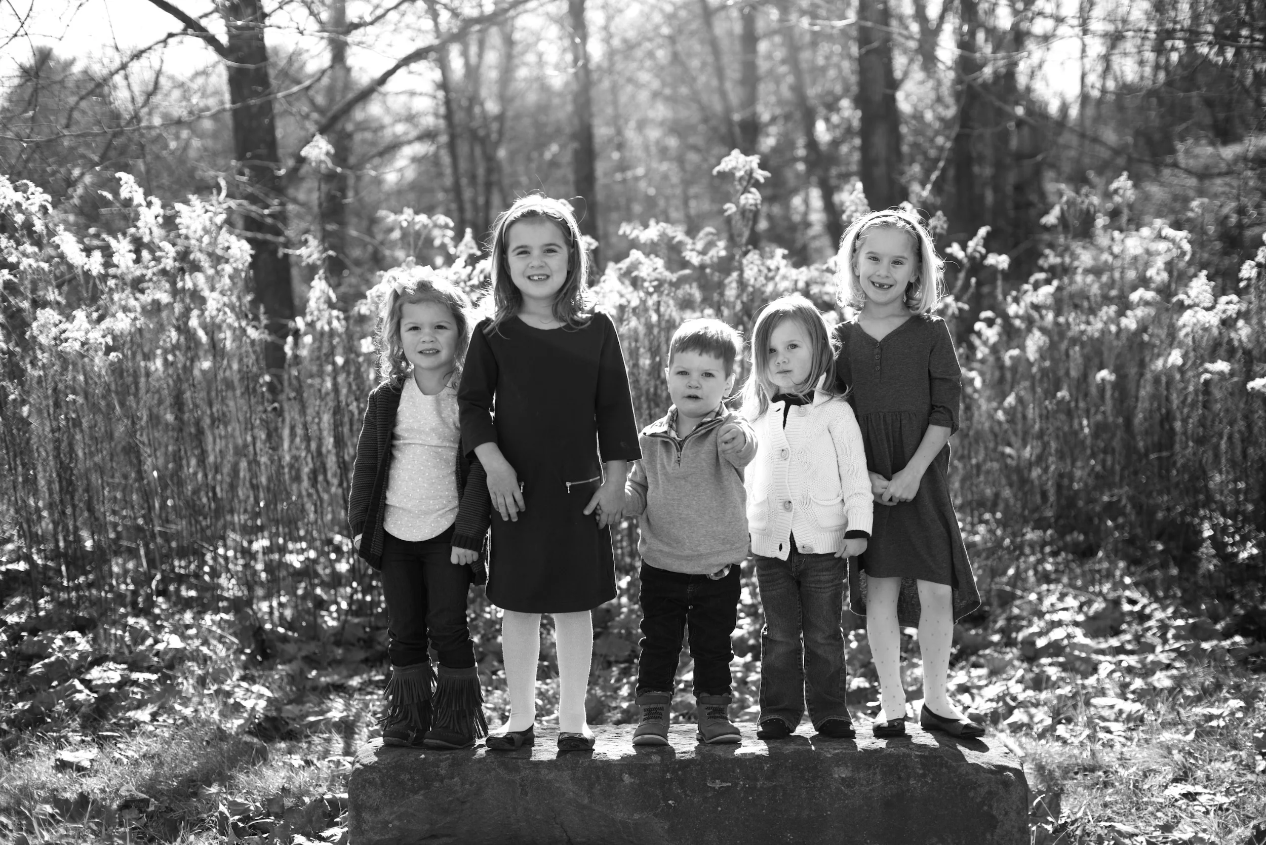 cousins201542.jpg