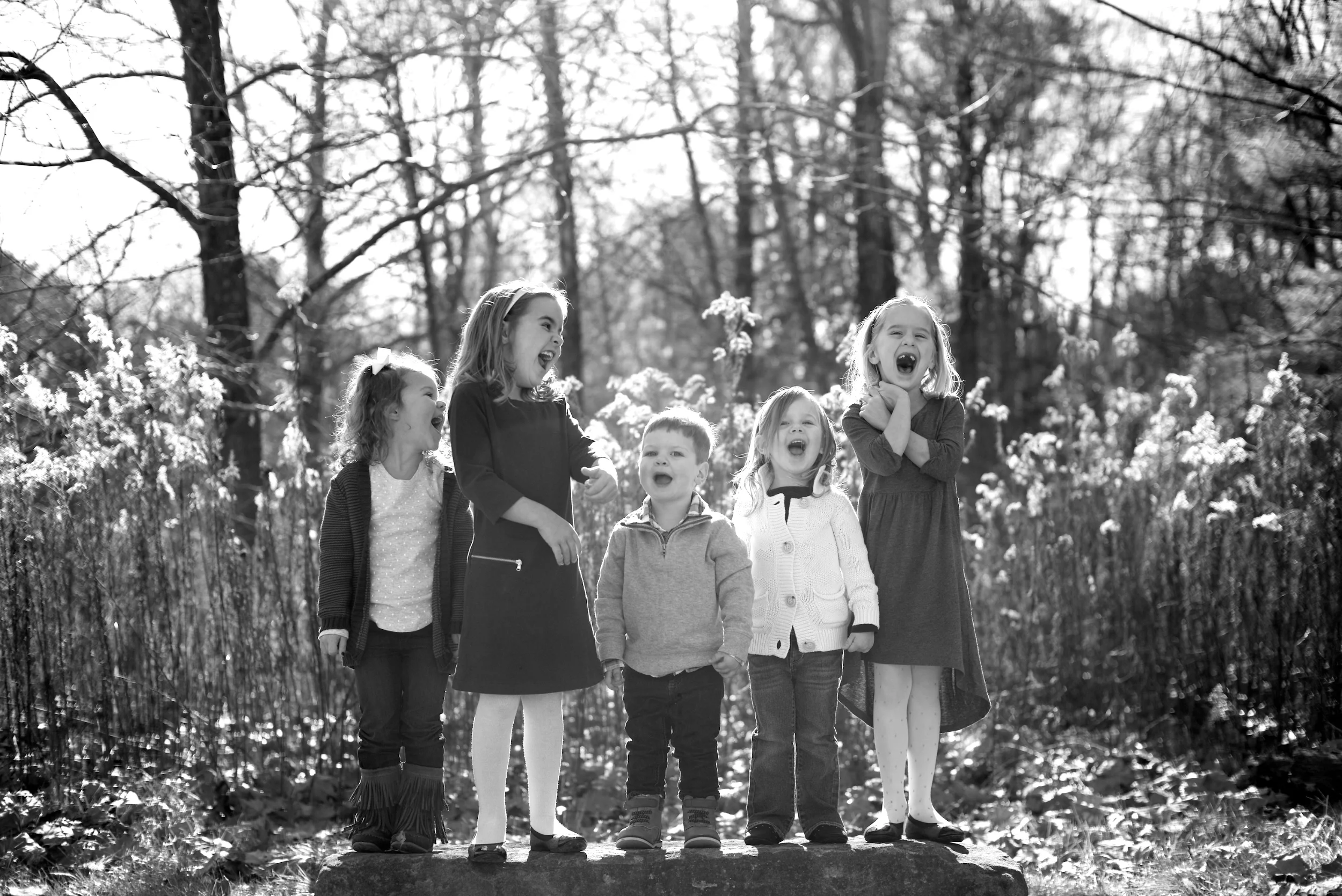cousins201544.jpg