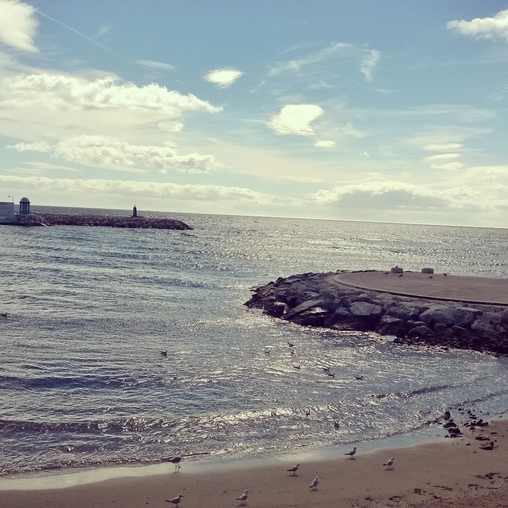 InstagramCapture_8b80fbf3-8735-470b-8502-ddd6a2b9ff81.jpg