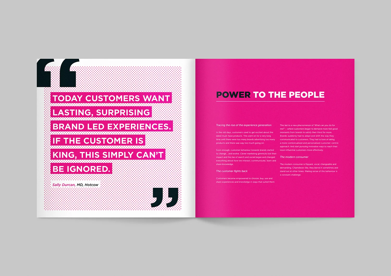 hotcow_brand_book_spread_2_behance.jpg