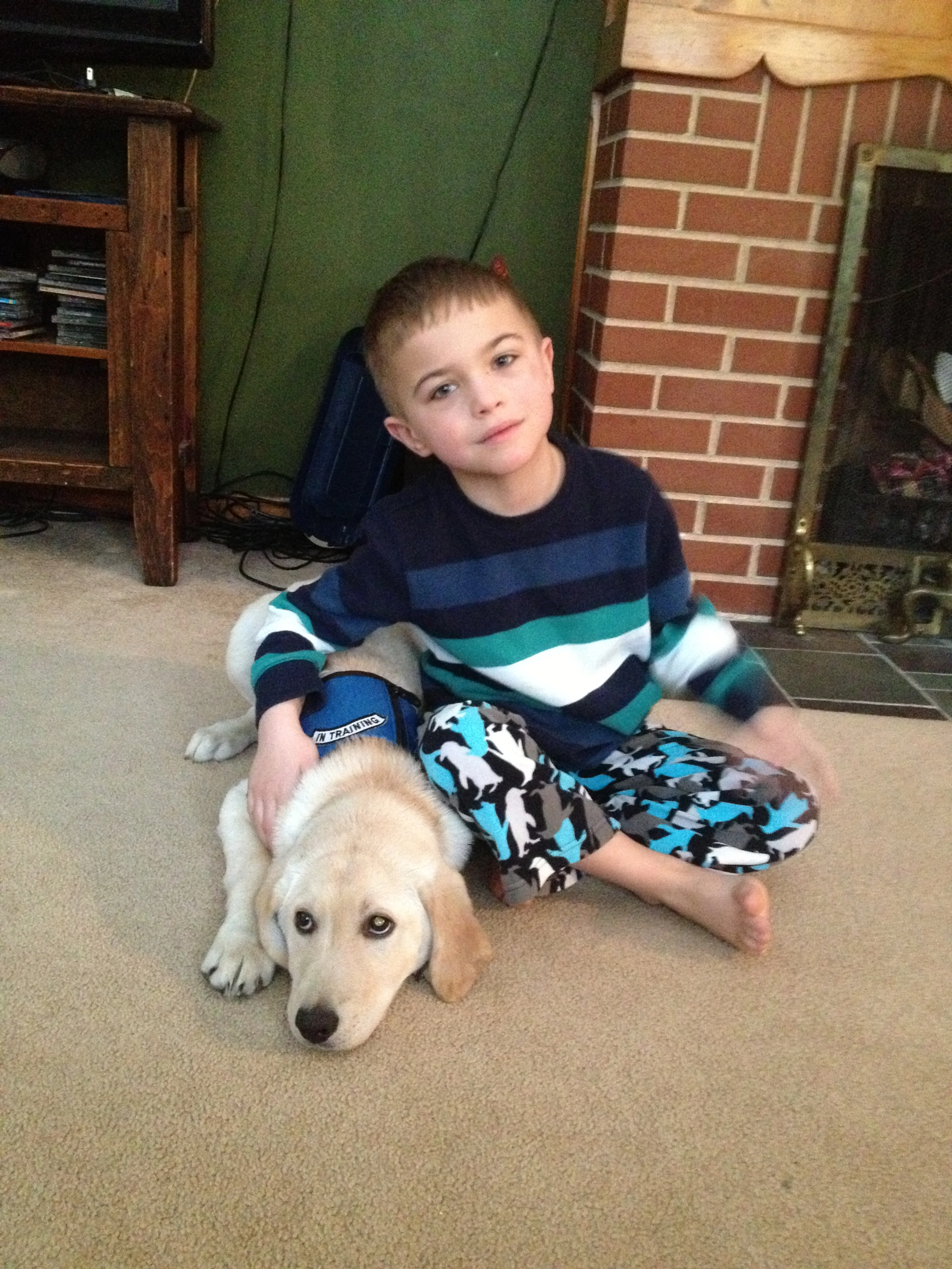 Freedom.....ACAP'S First Service Dog Puppy