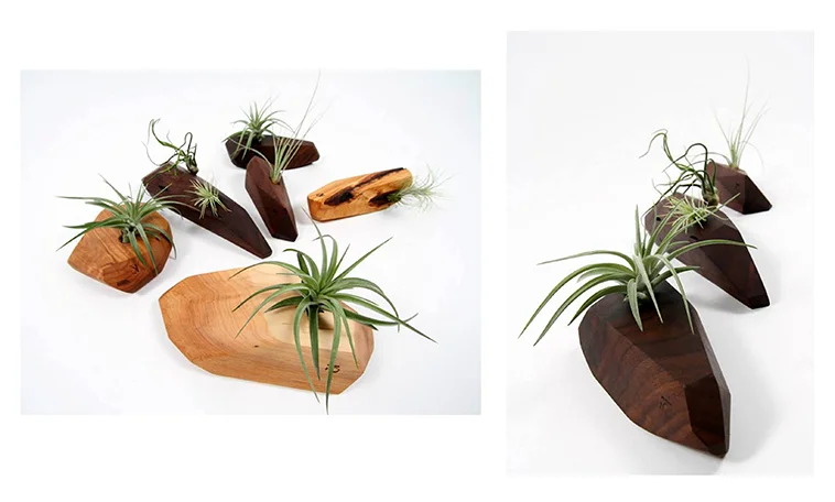 8_support_tillandsia_Pierre Boulanger.jpg