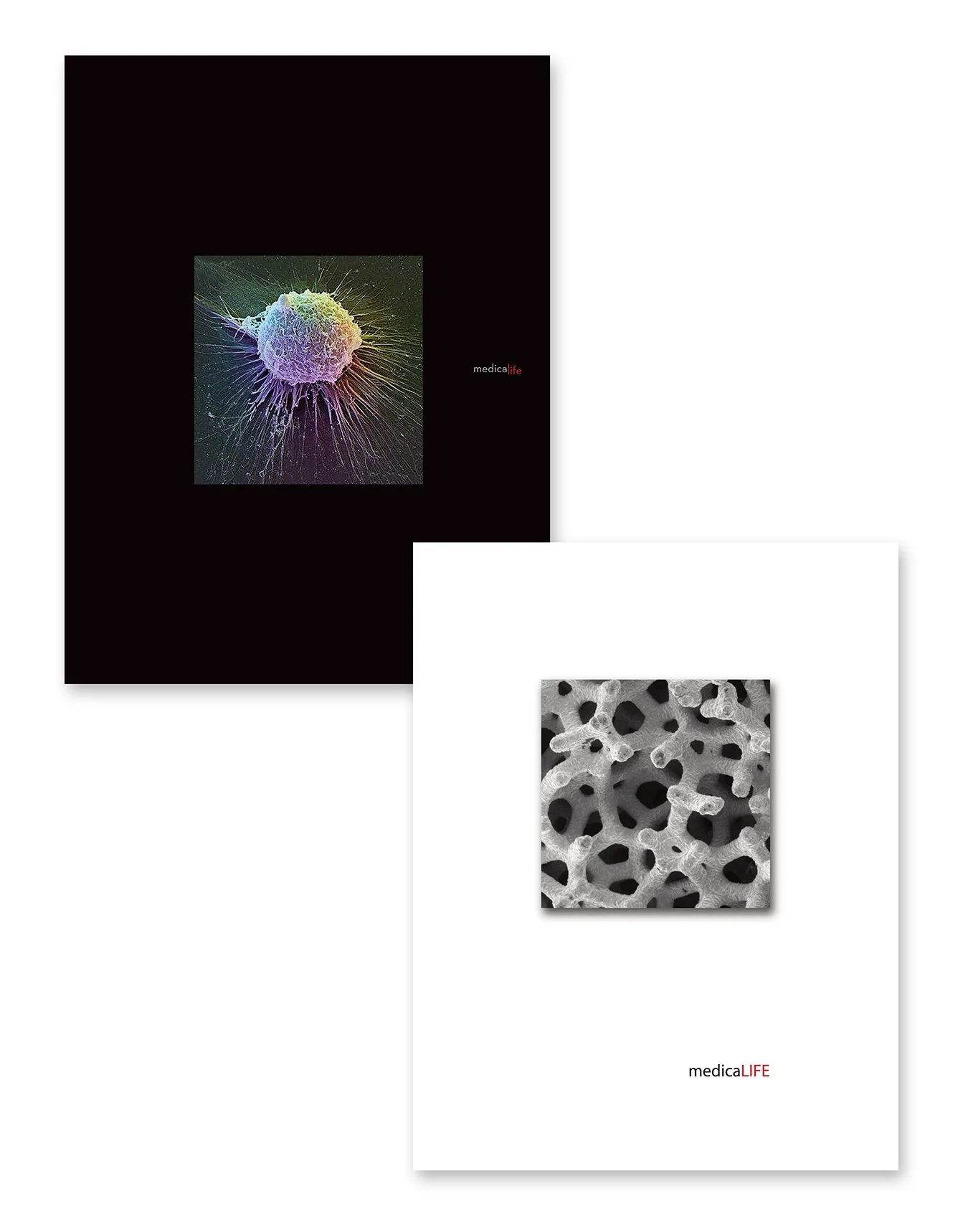 MedicalLife_WEB.jpg