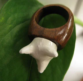 ceramicfox-ring1.jpg