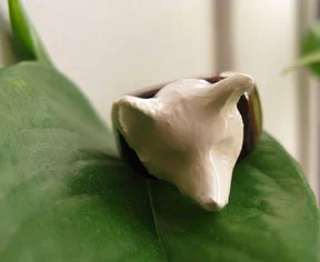 ceramicfox-ring3.jpg