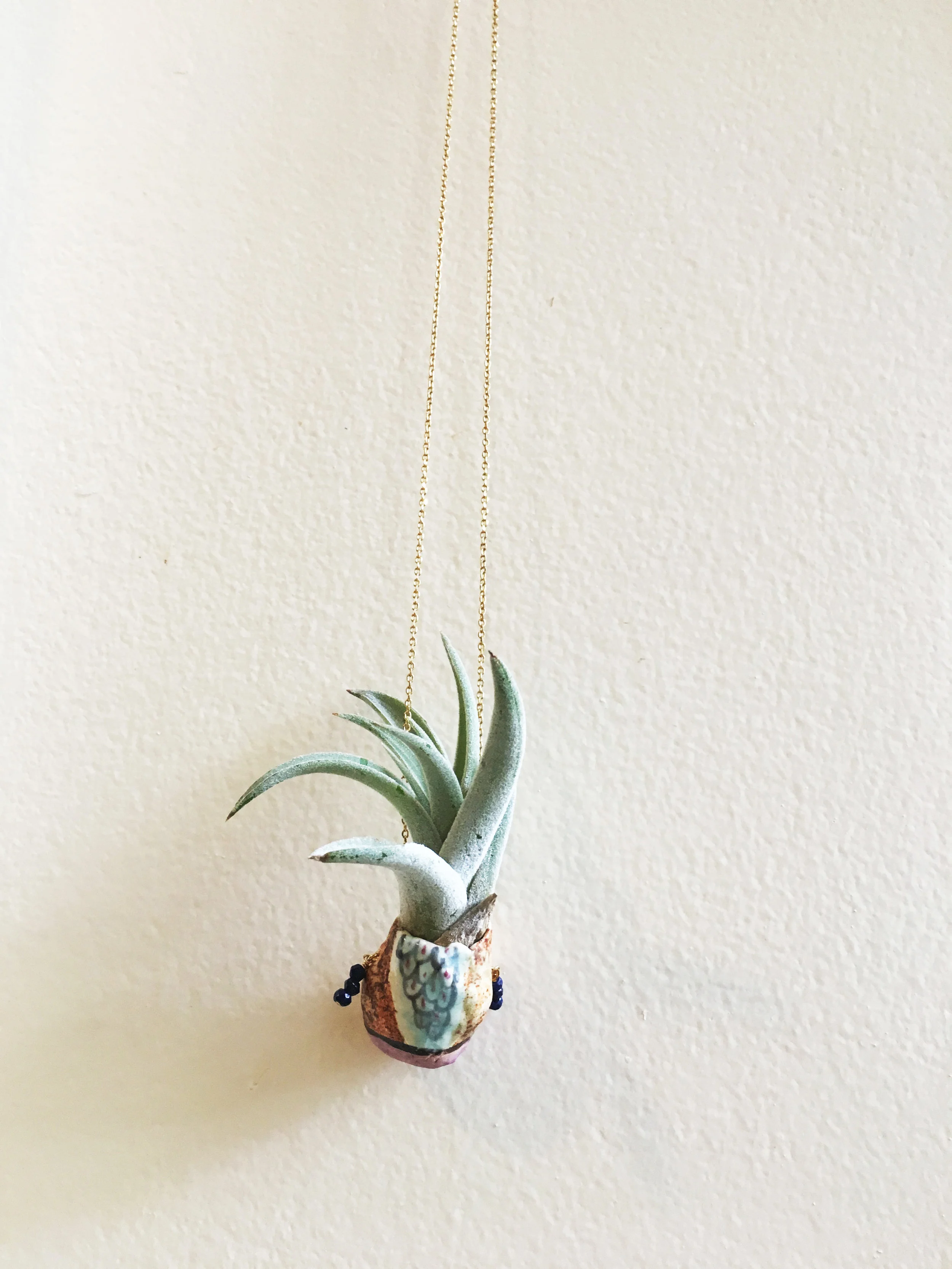 Air plant necklace
