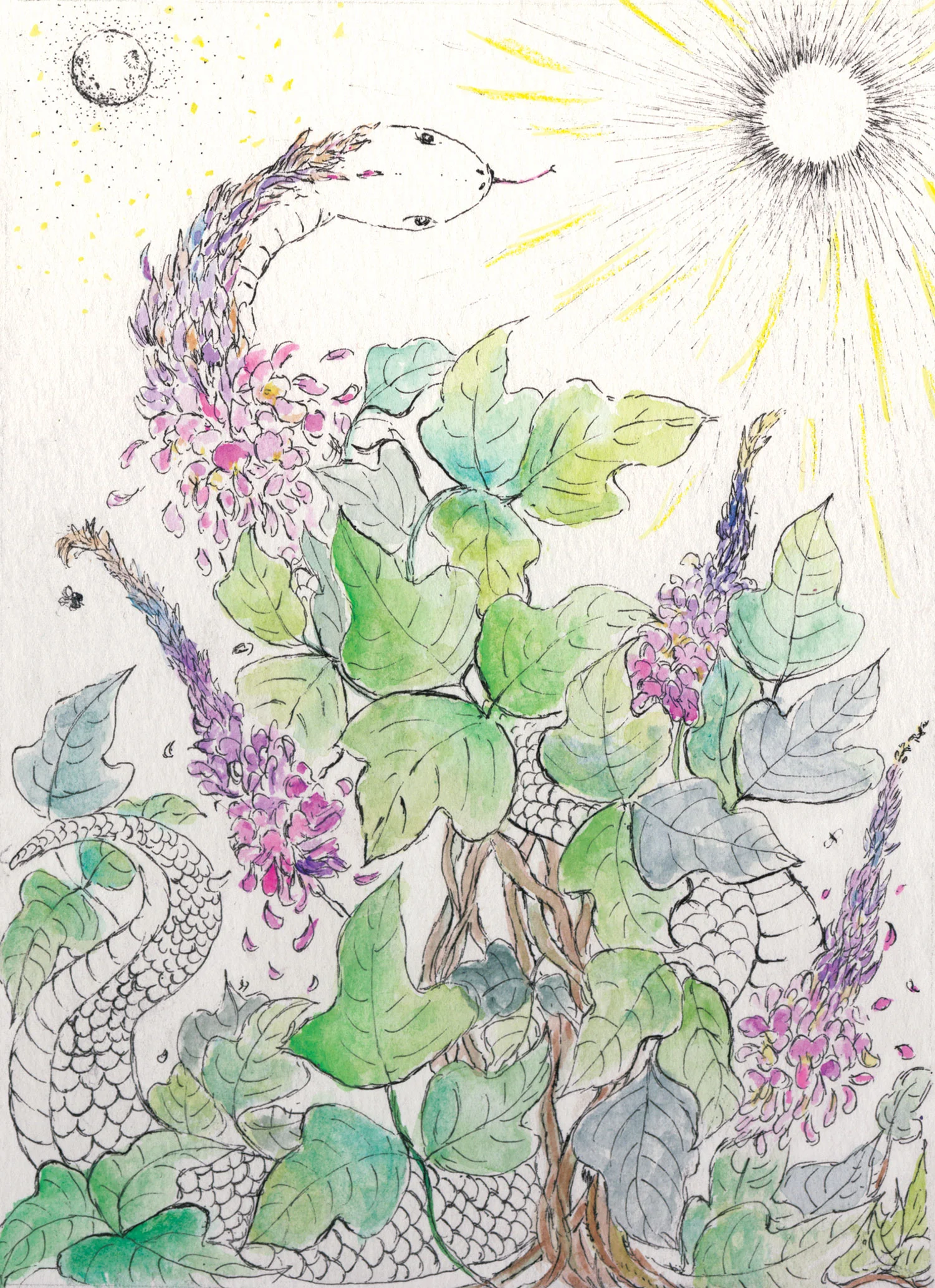 …What kudzu say... The land is here for seeds to grow Leaves listen to the moon and sun for direction Vines coil and weave the songs by elders Roots spread to deliver the words Stories are told to connect all the lands
