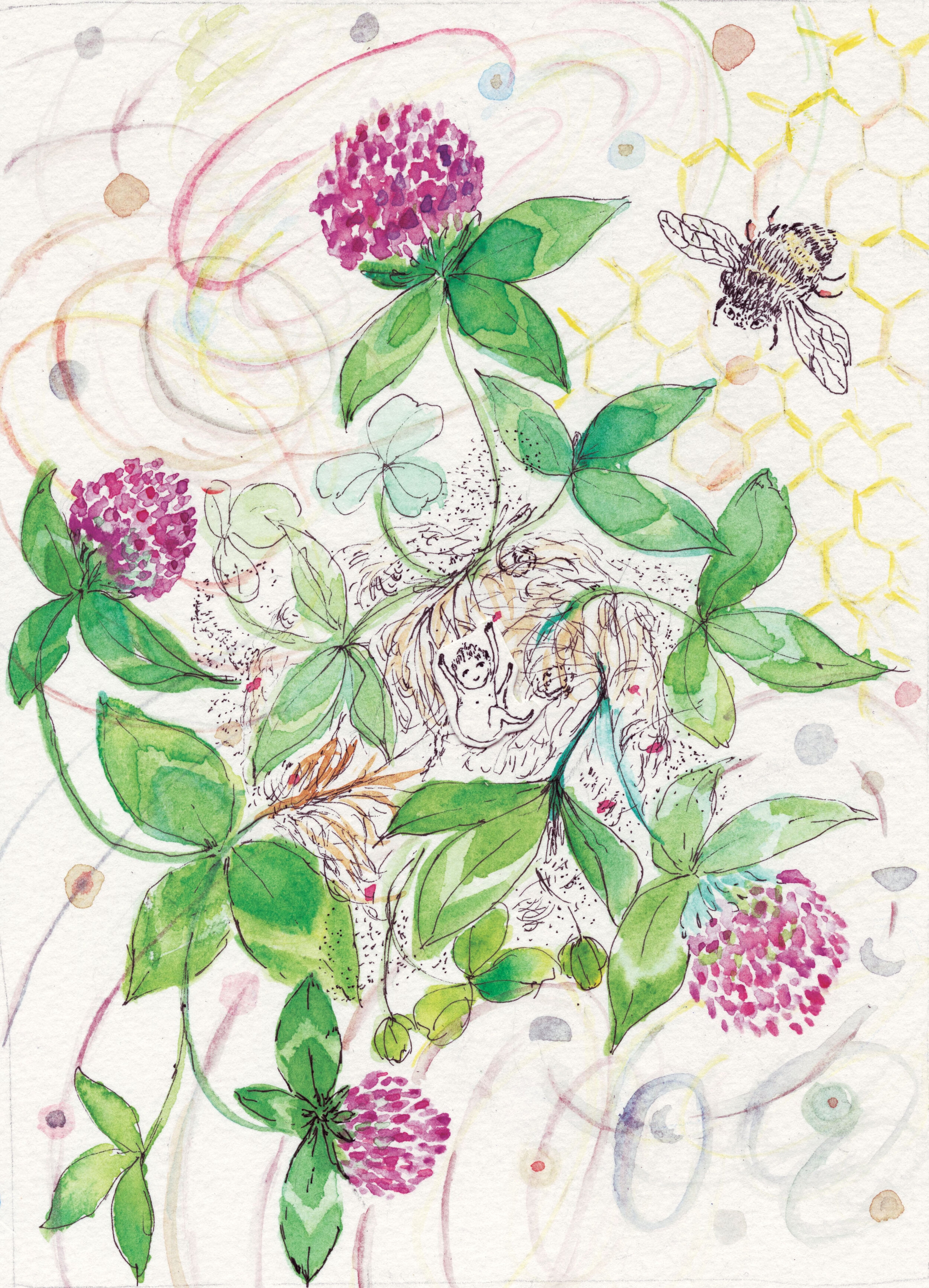 …What red clover say...Make the heart rhythm  Firm and bold  We are in this togetherThis that we are in  This that within us  This that around us  This that this is inFrom small to bigAll in this oneness