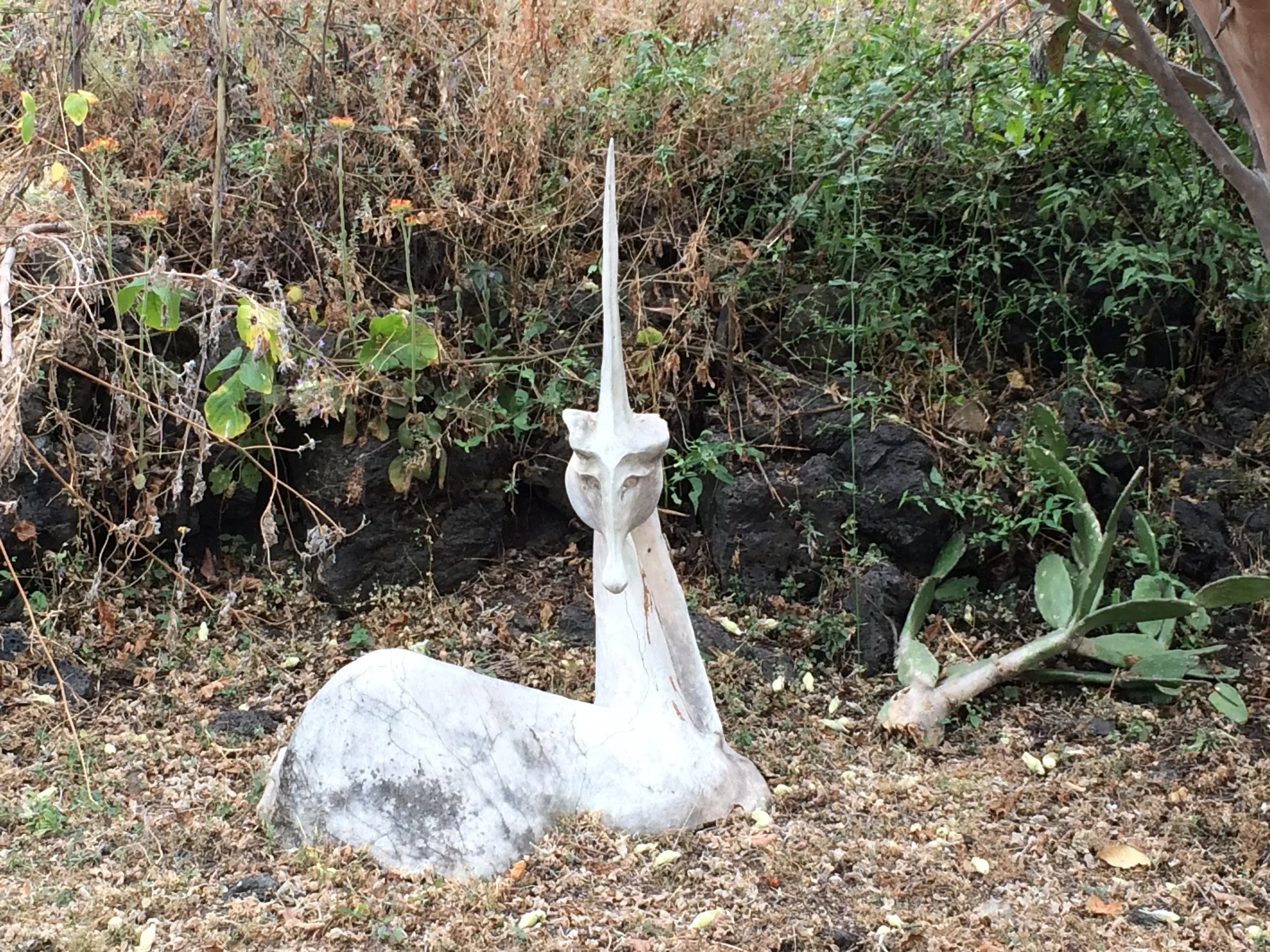 Tepoztlan Moreles Mexico.jpeg