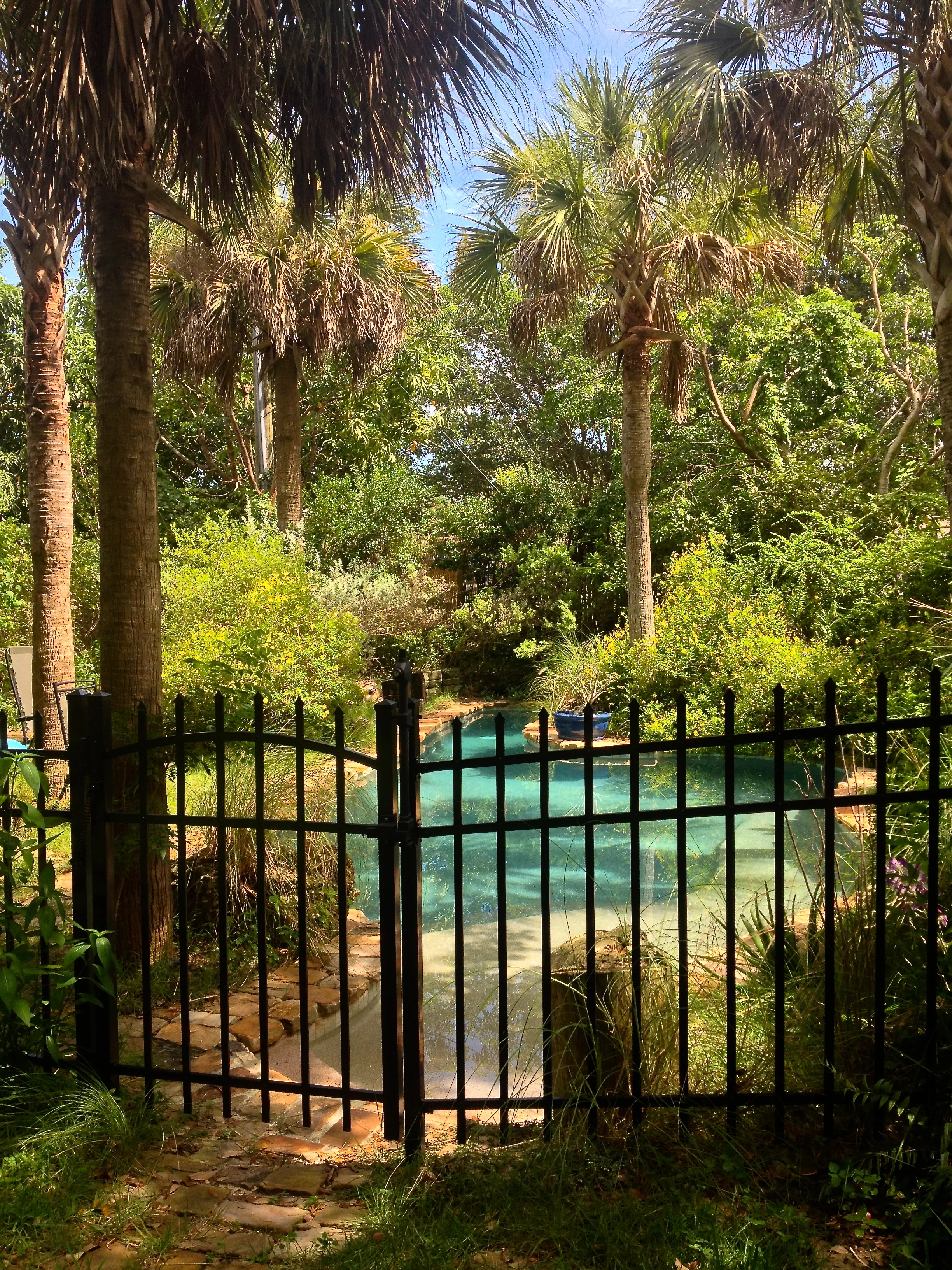 Spring Pool.jpg
