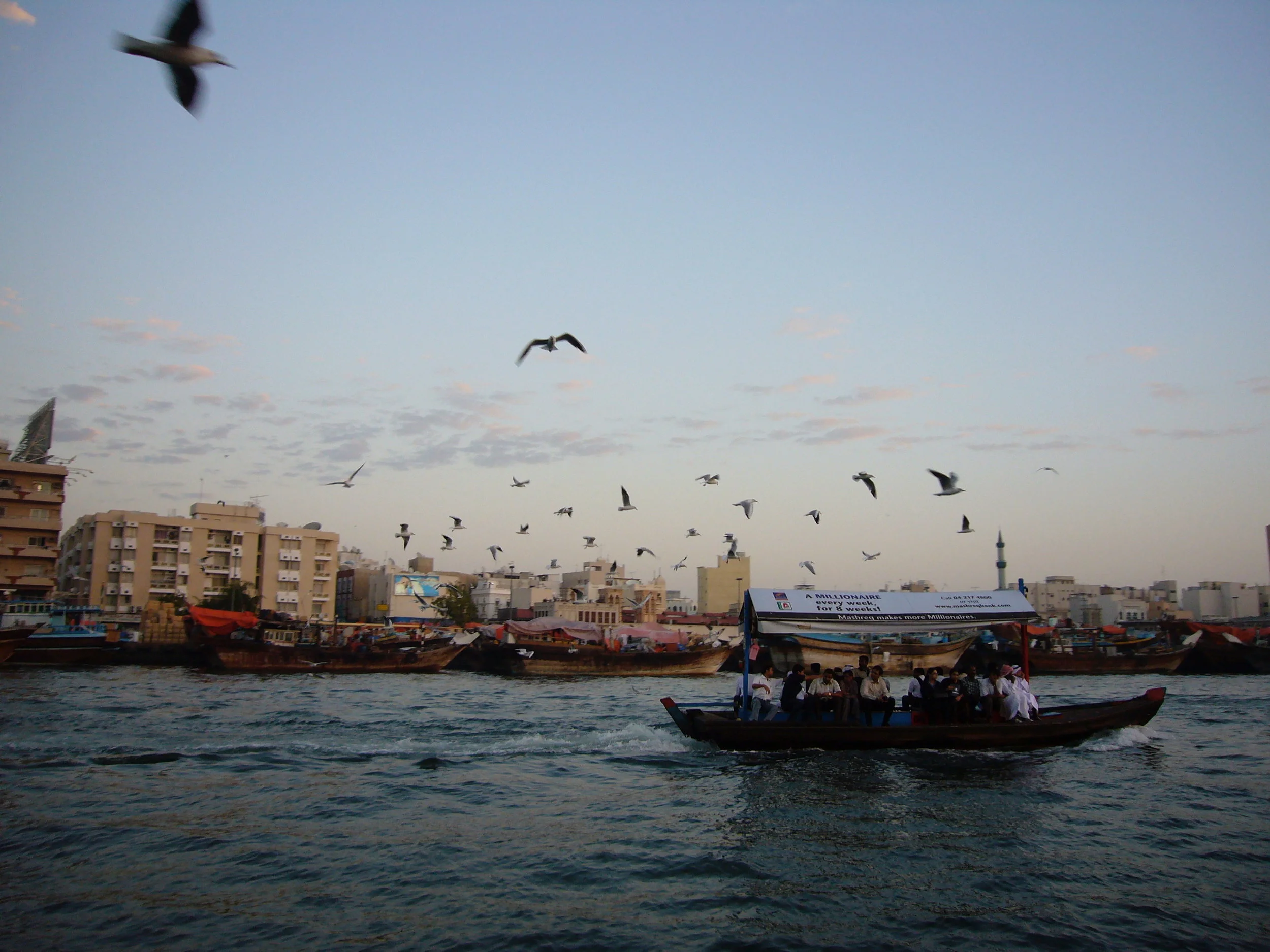 P1000012.jpg