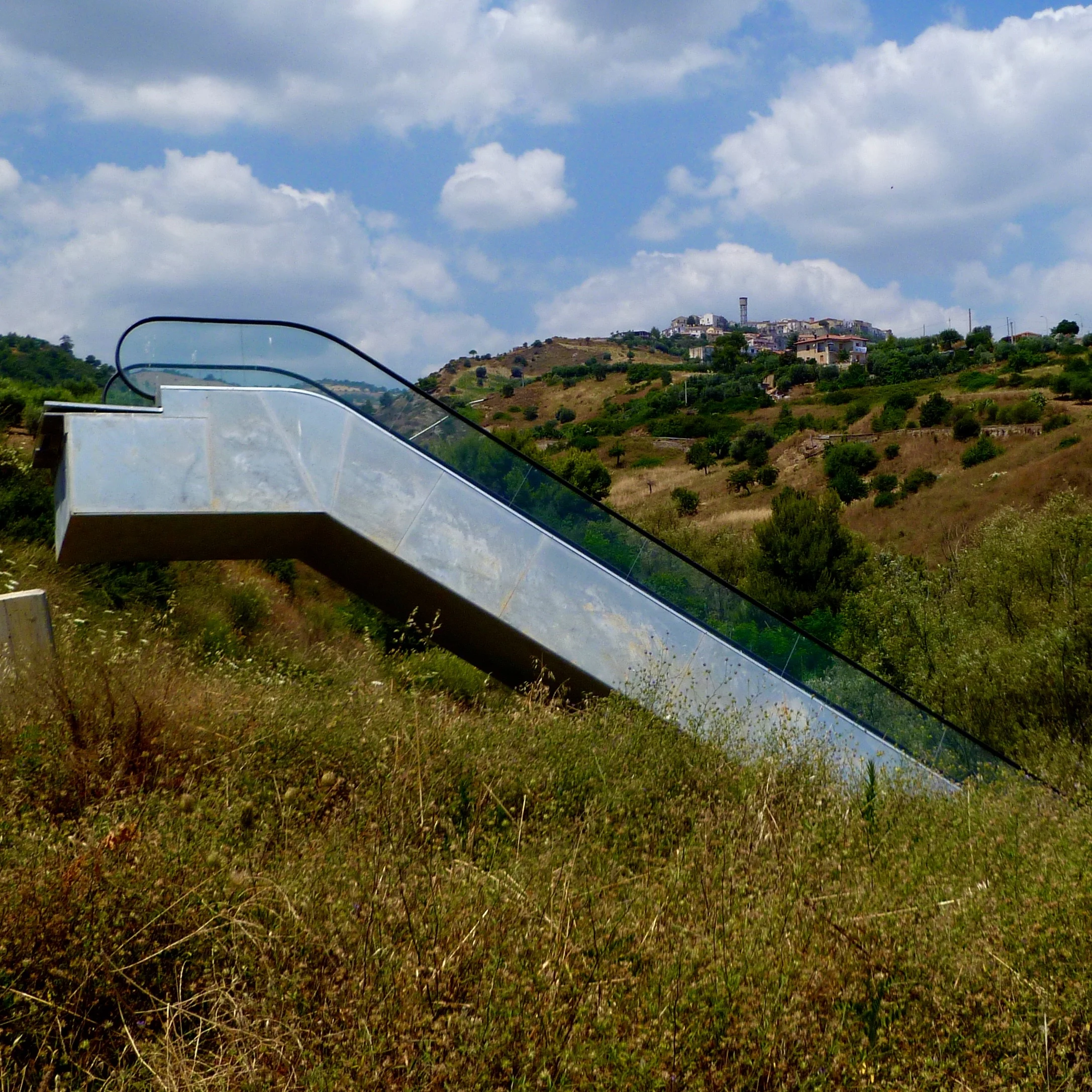 P1020142.jpg
