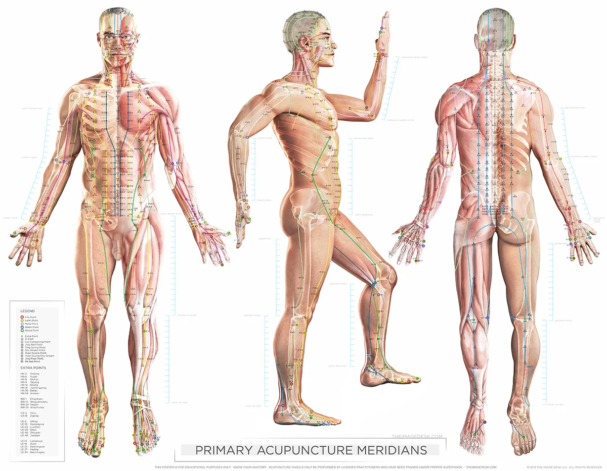 Primary Meridians - Laminated